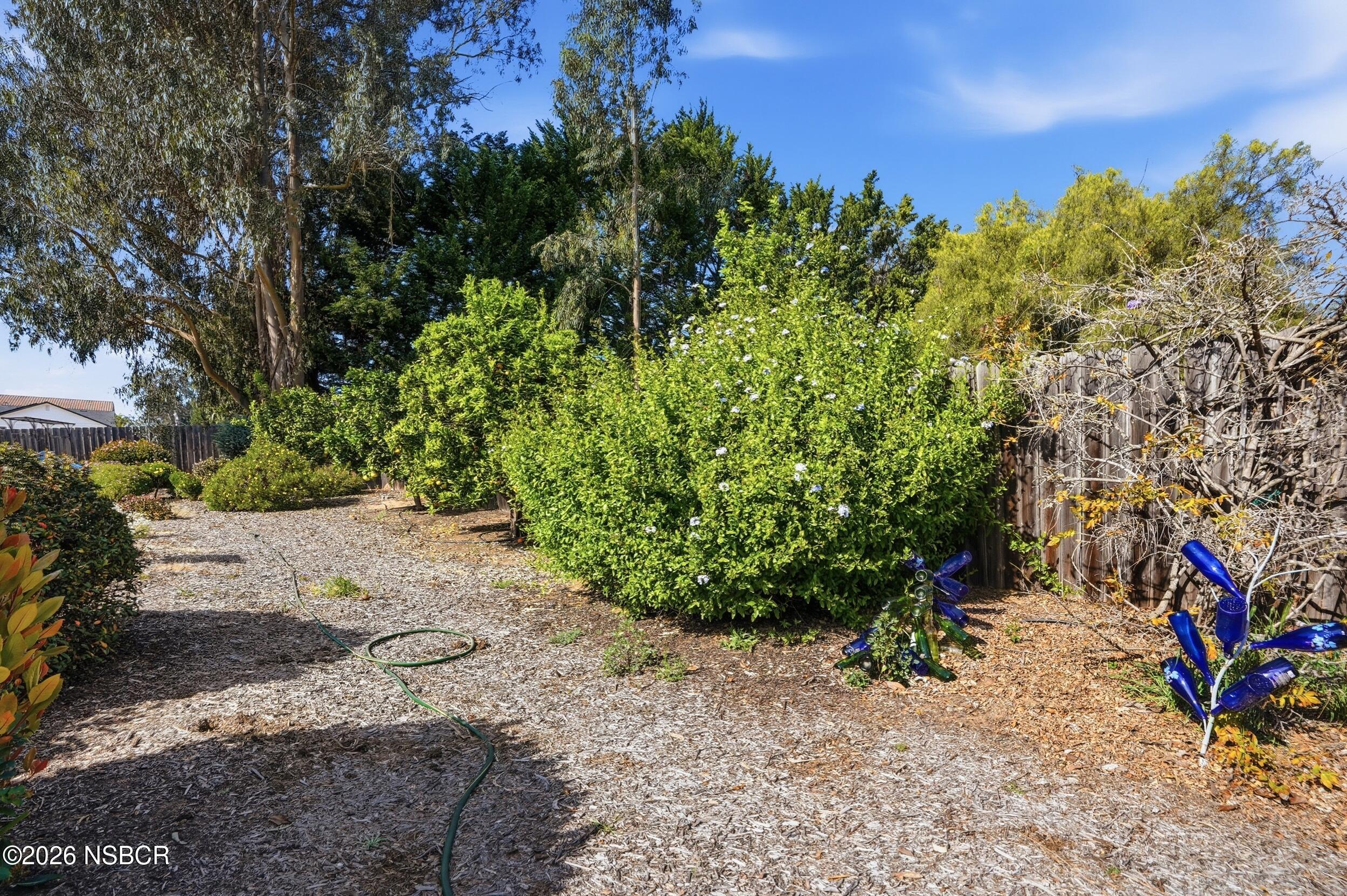 745 Inga Road Nipomo, CA 93444 - Photo 46 of 55 a view of a garden with plants and trees