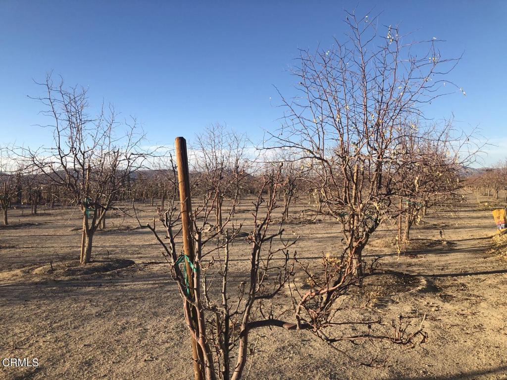 34738 Old Woman Springs Road Lucerne Valley, CA 92356 - Photo 8 of 14 7