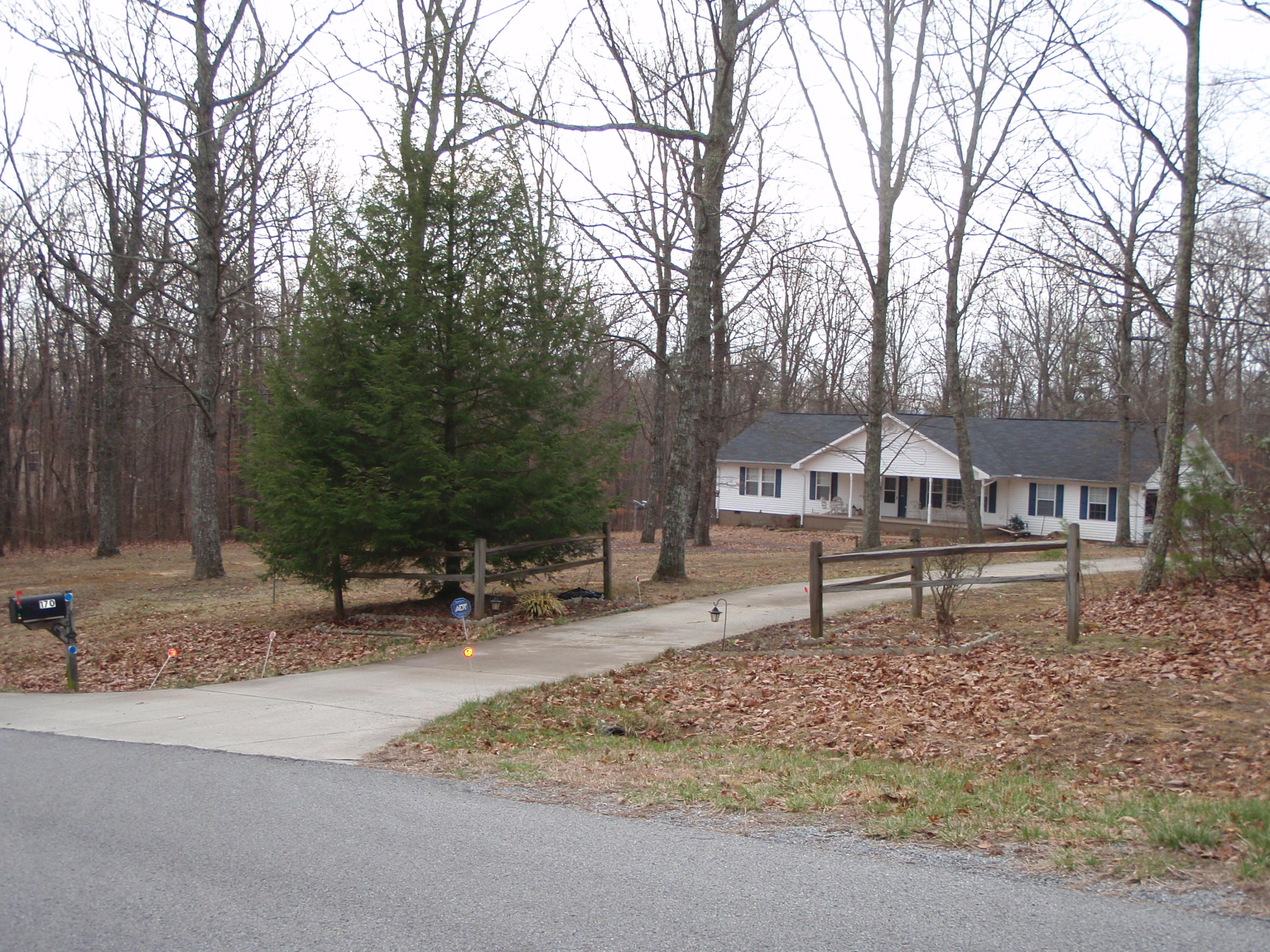 170 Fox Trail Road Rising Fawn, GA 30738 - Photo 2 of 31 02 Driveway to house