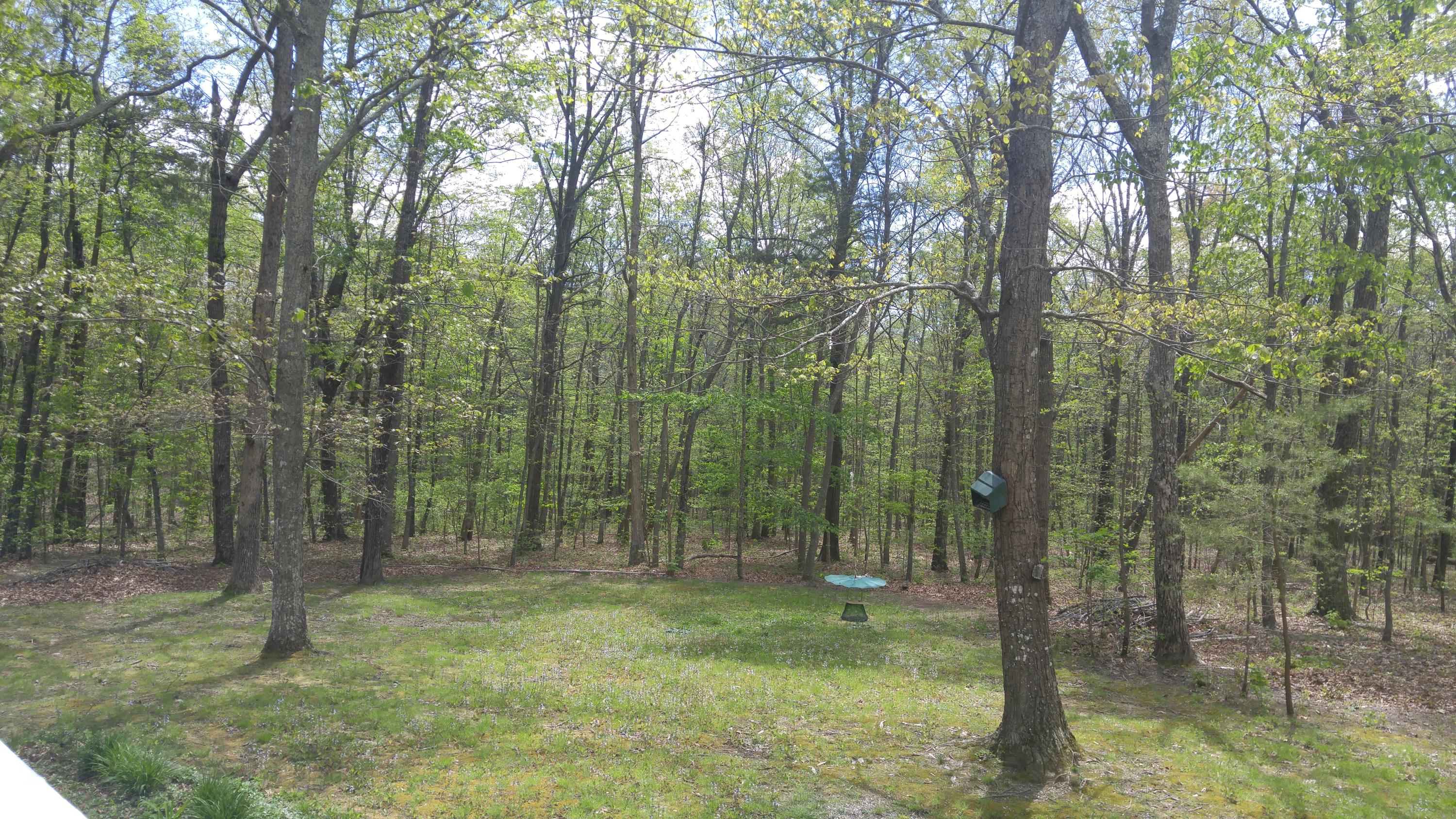 170 Fox Trail Road Rising Fawn, GA 30738 - Photo 27 of 31 26 Back yard Summer