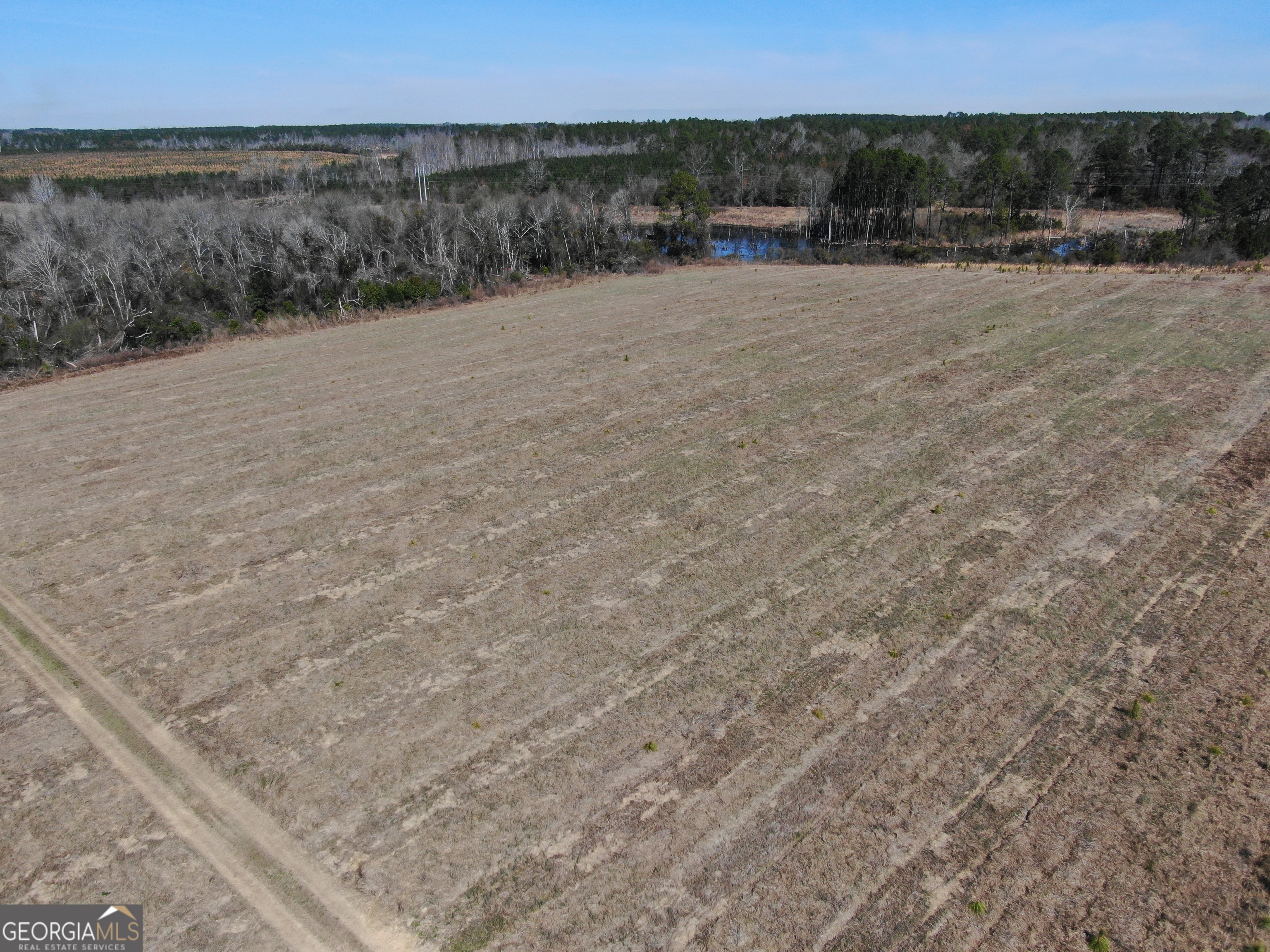 0 Airport Road McRae-Helena, GA 31037 - Photo 11 of 43