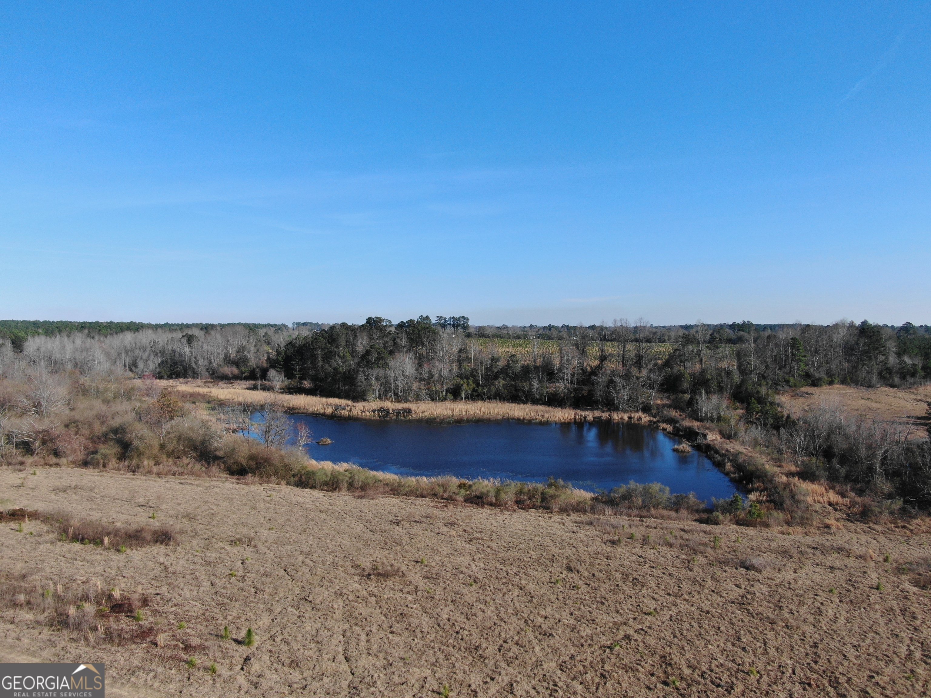 0 Airport Road McRae-Helena, GA 31037 - Photo 13 of 43