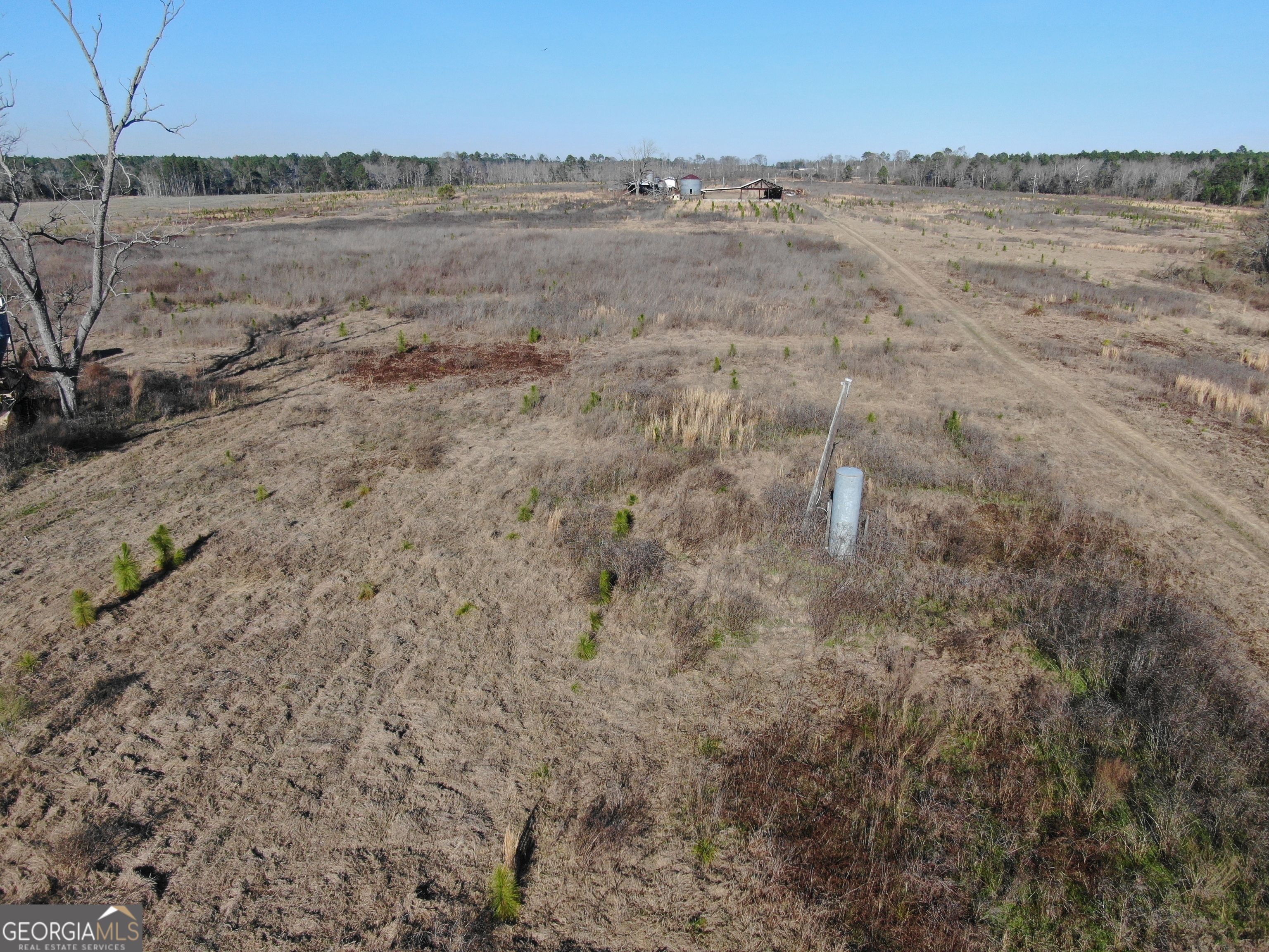 0 Airport Road McRae-Helena, GA 31037 - Photo 16 of 43