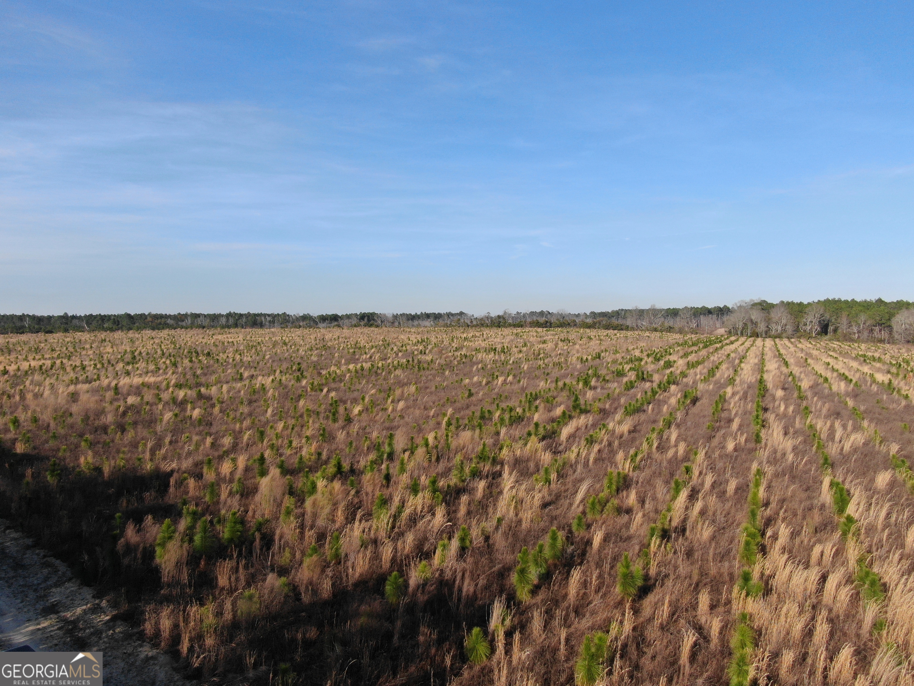 0 Airport Road McRae-Helena, GA 31037 - Photo 19 of 43