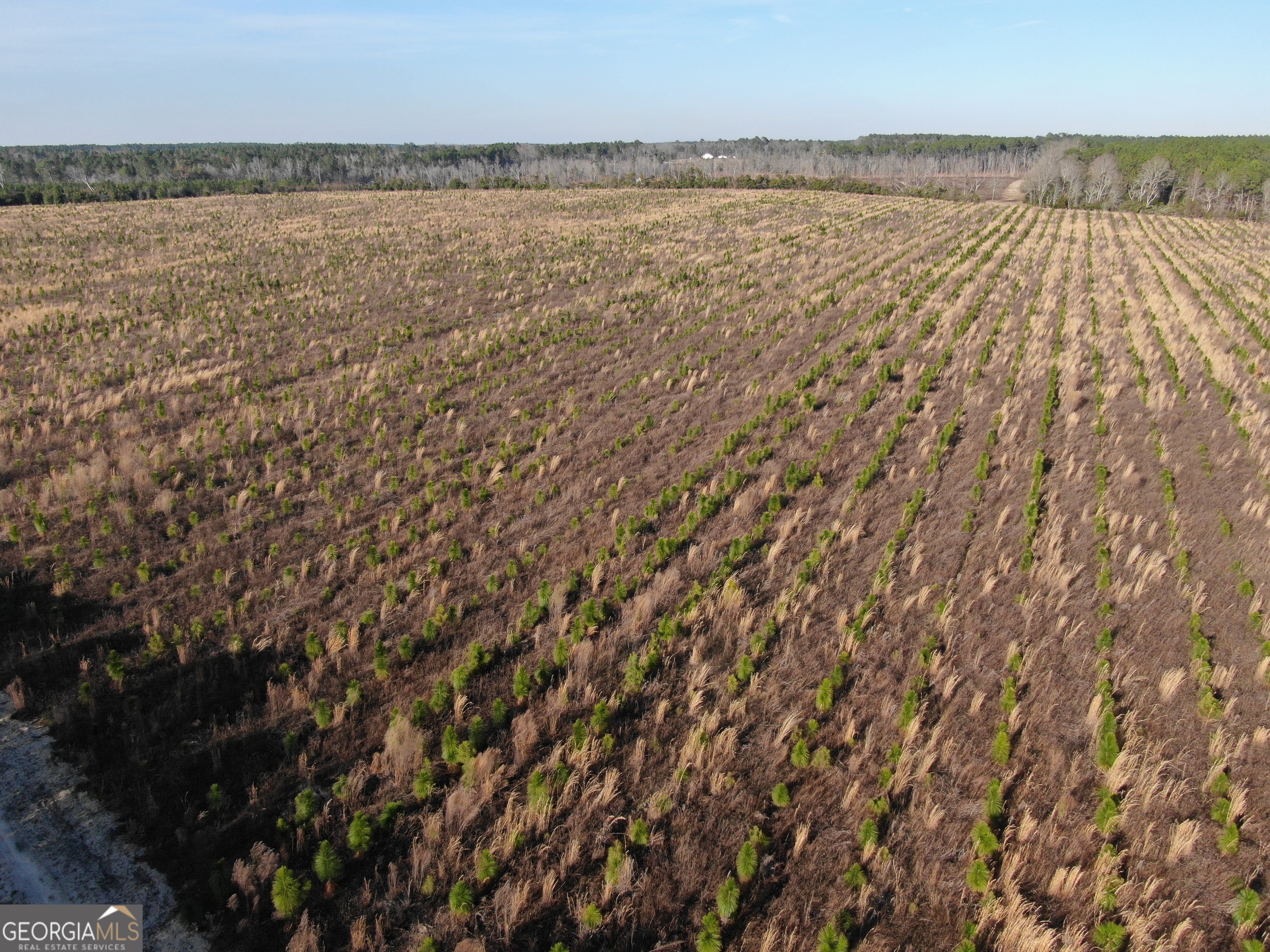 0 Airport Road McRae-Helena, GA 31037 - Photo 20 of 43