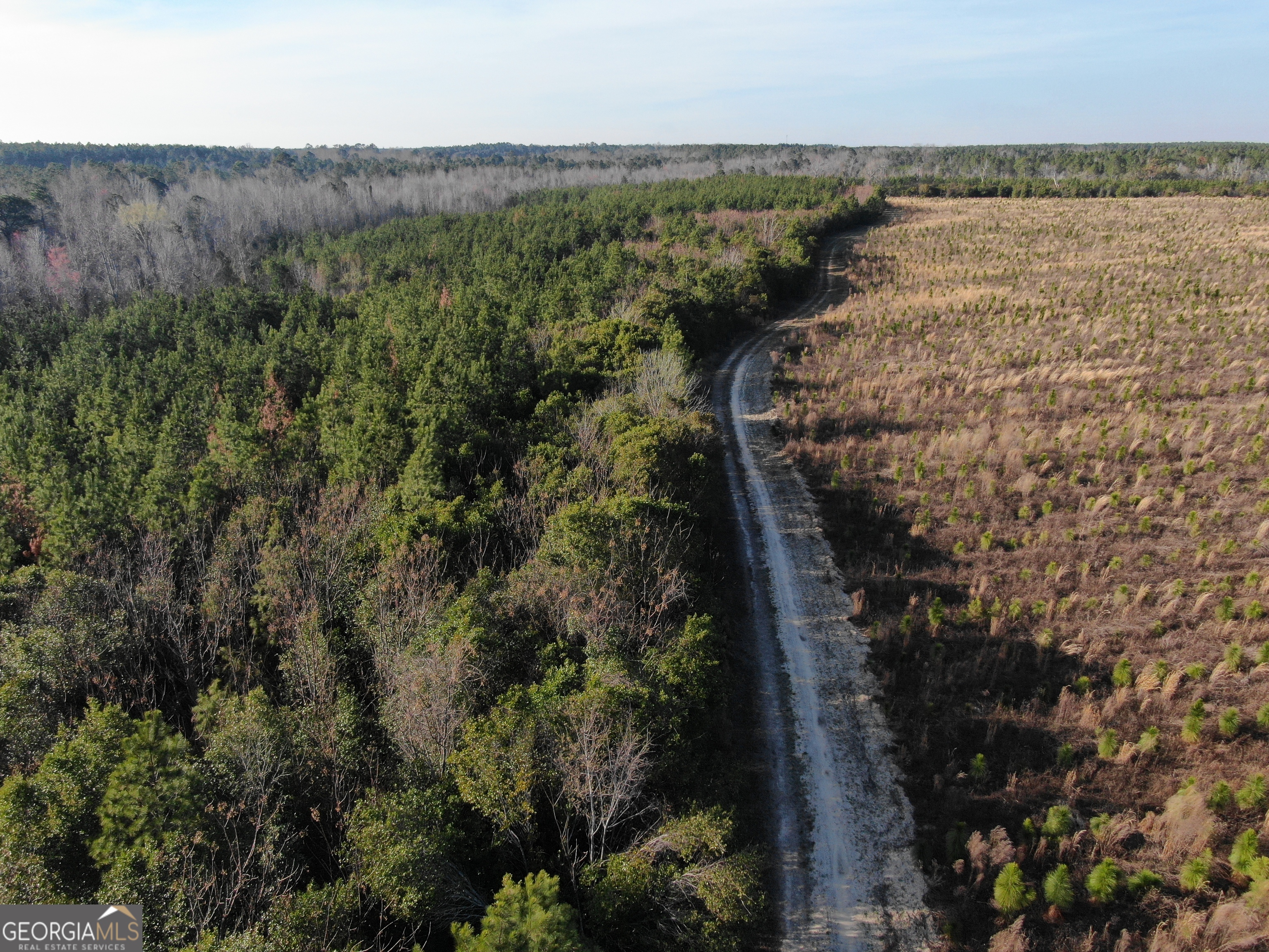 0 Airport Road McRae-Helena, GA 31037 - Photo 21 of 43