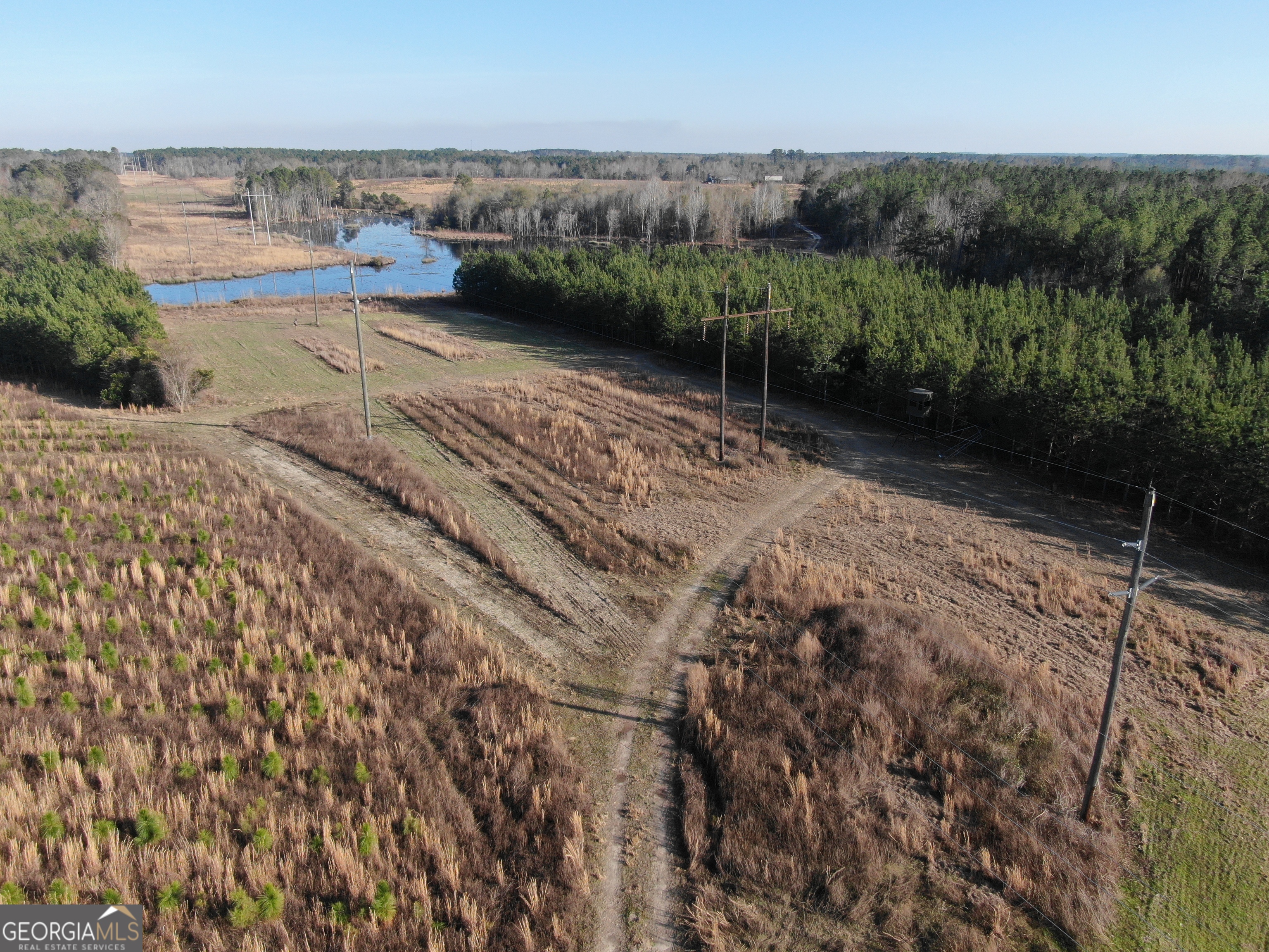 0 Airport Road McRae-Helena, GA 31037 - Photo 22 of 43