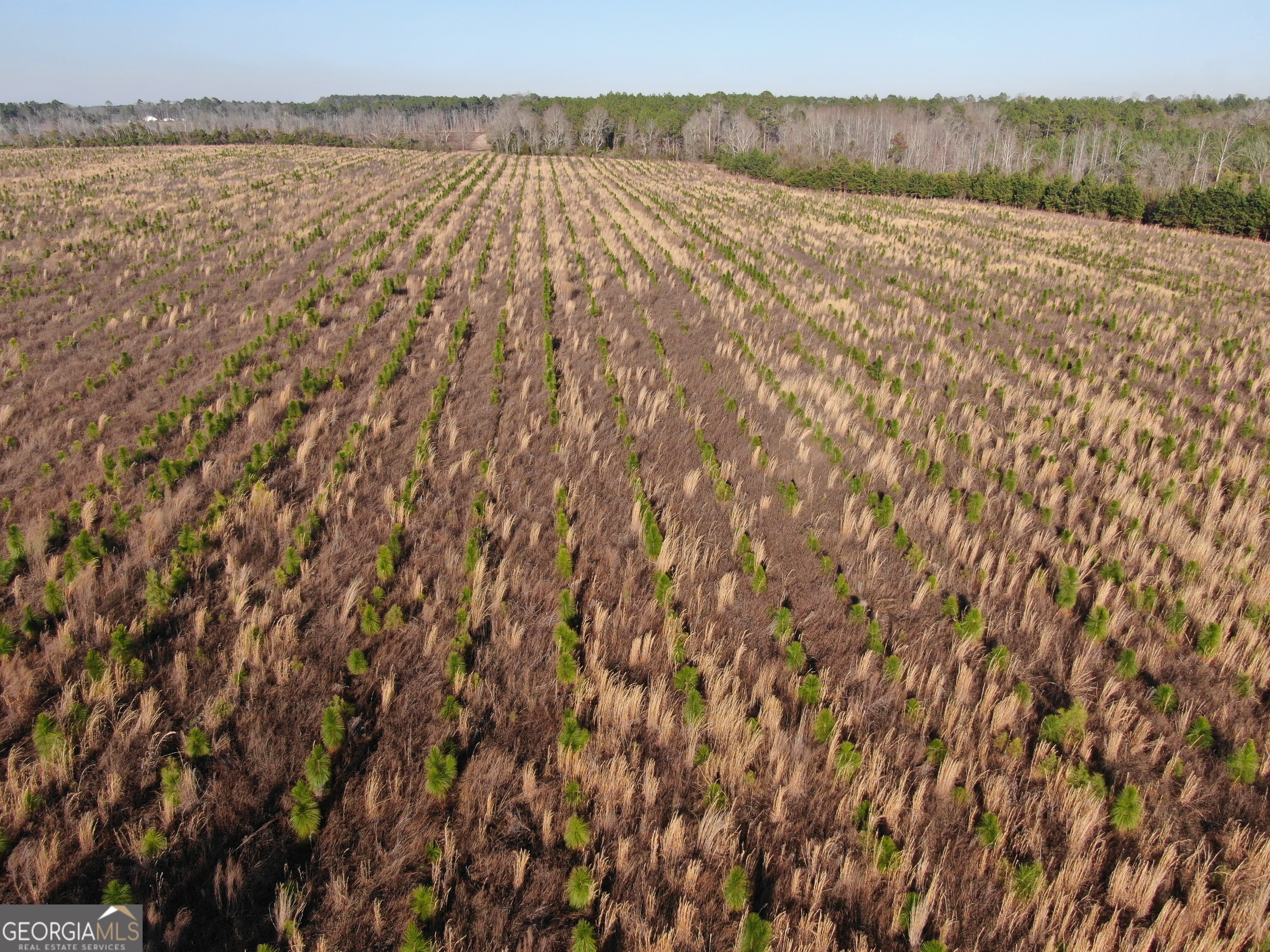 0 Airport Road McRae-Helena, GA 31037 - Photo 23 of 43