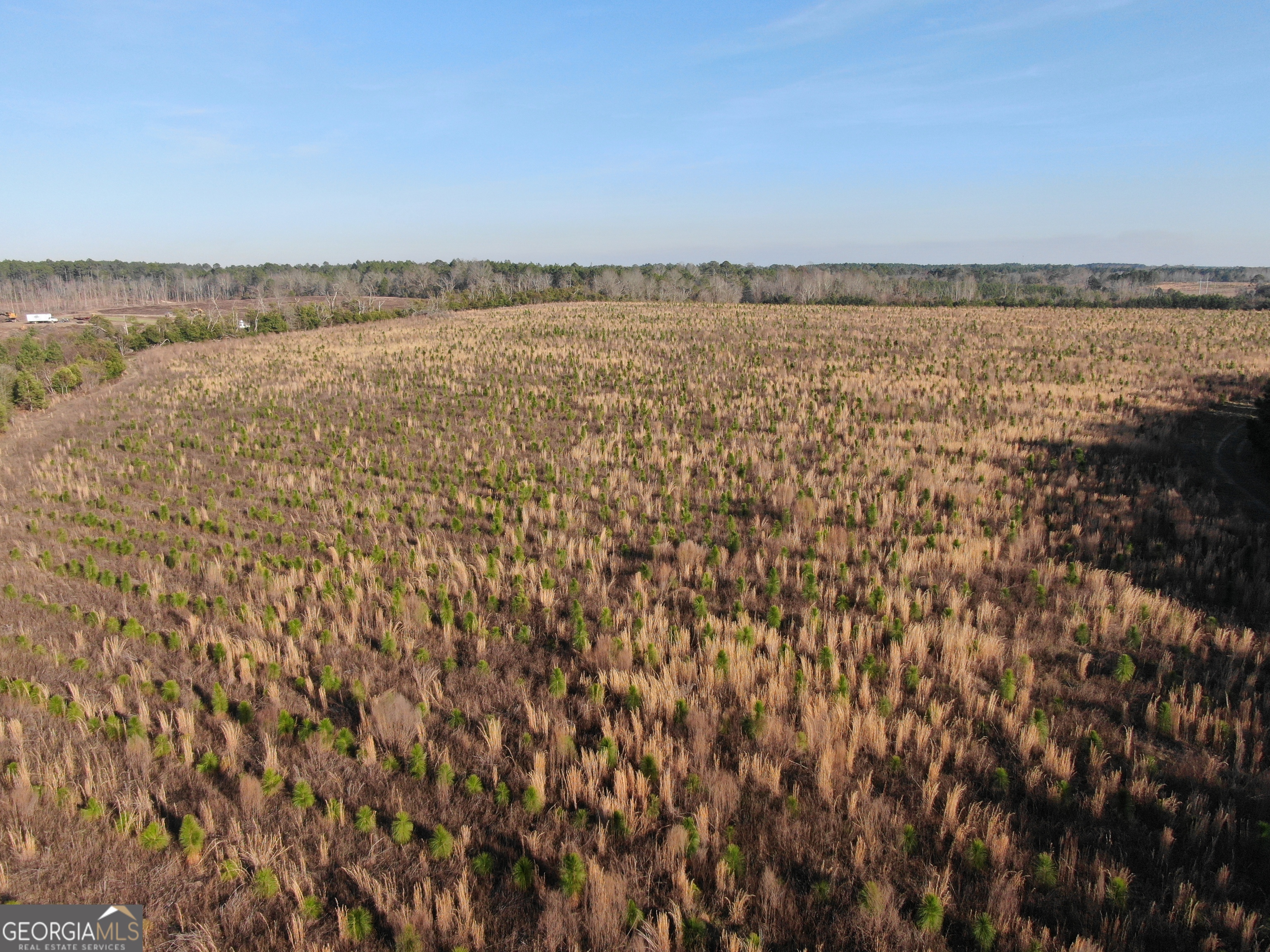 0 Airport Road McRae-Helena, GA 31037 - Photo 24 of 43