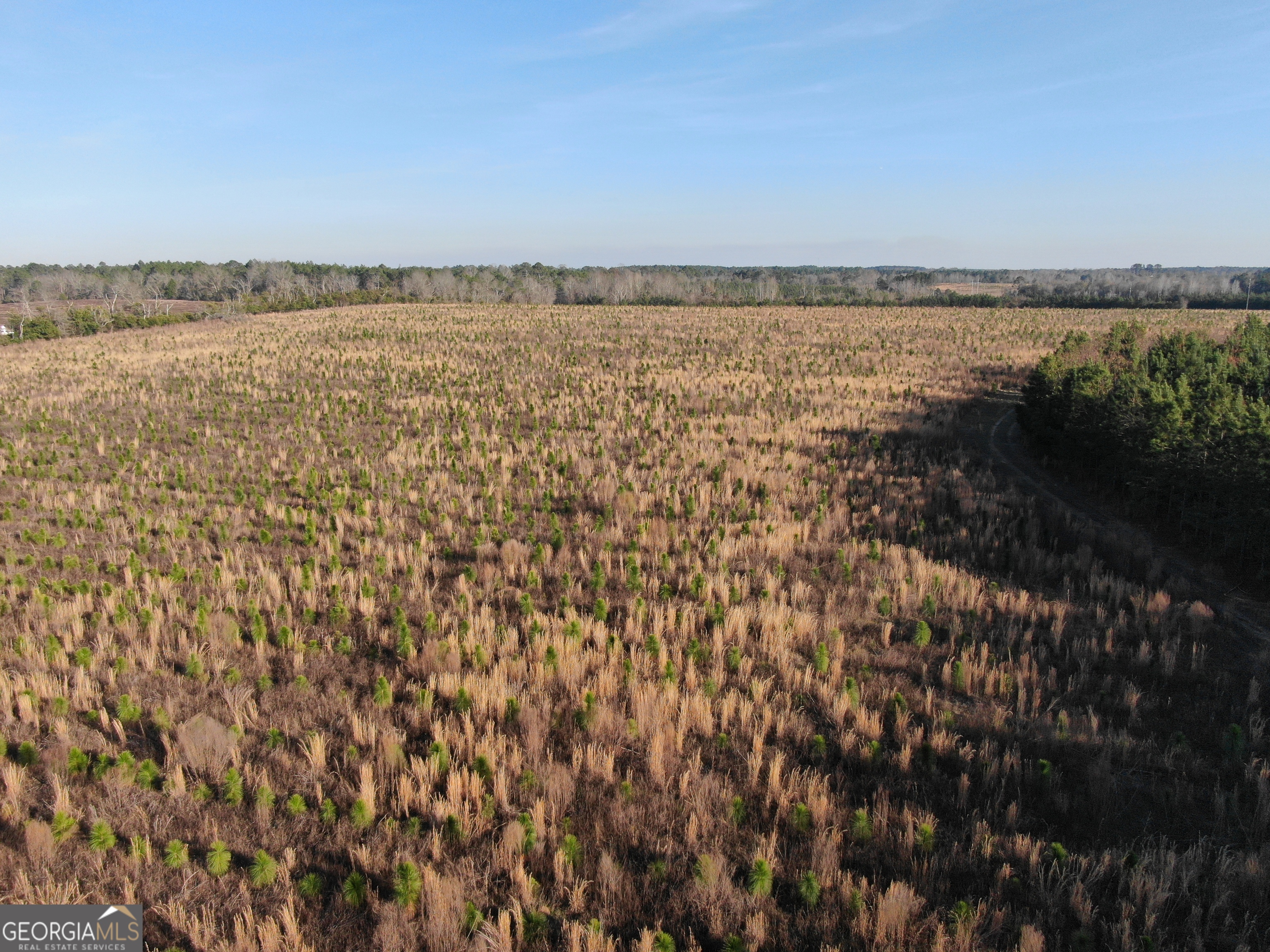 0 Airport Road McRae-Helena, GA 31037 - Photo 25 of 43