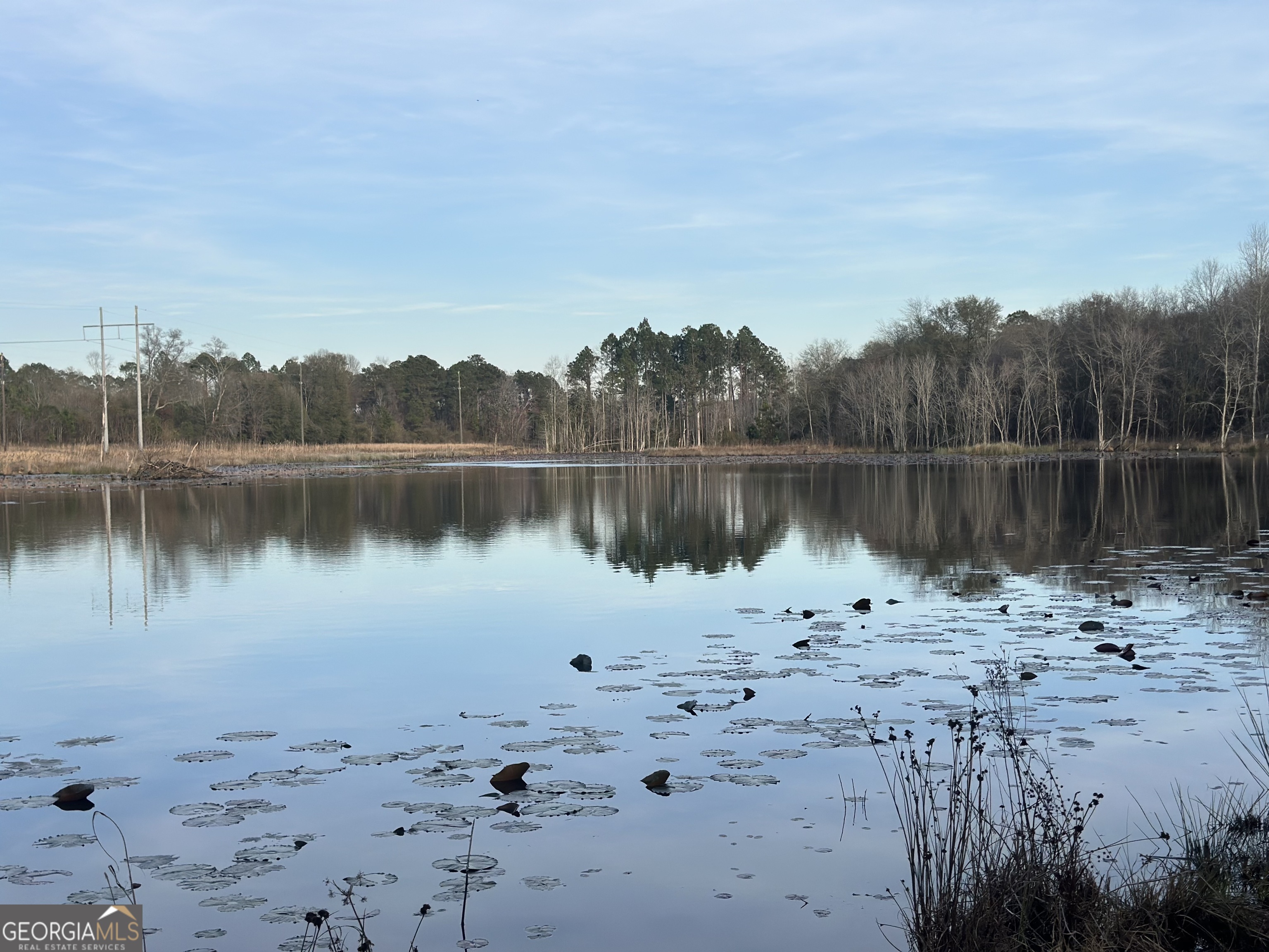 0 Airport Road McRae-Helena, GA 31037 - Photo 29 of 43