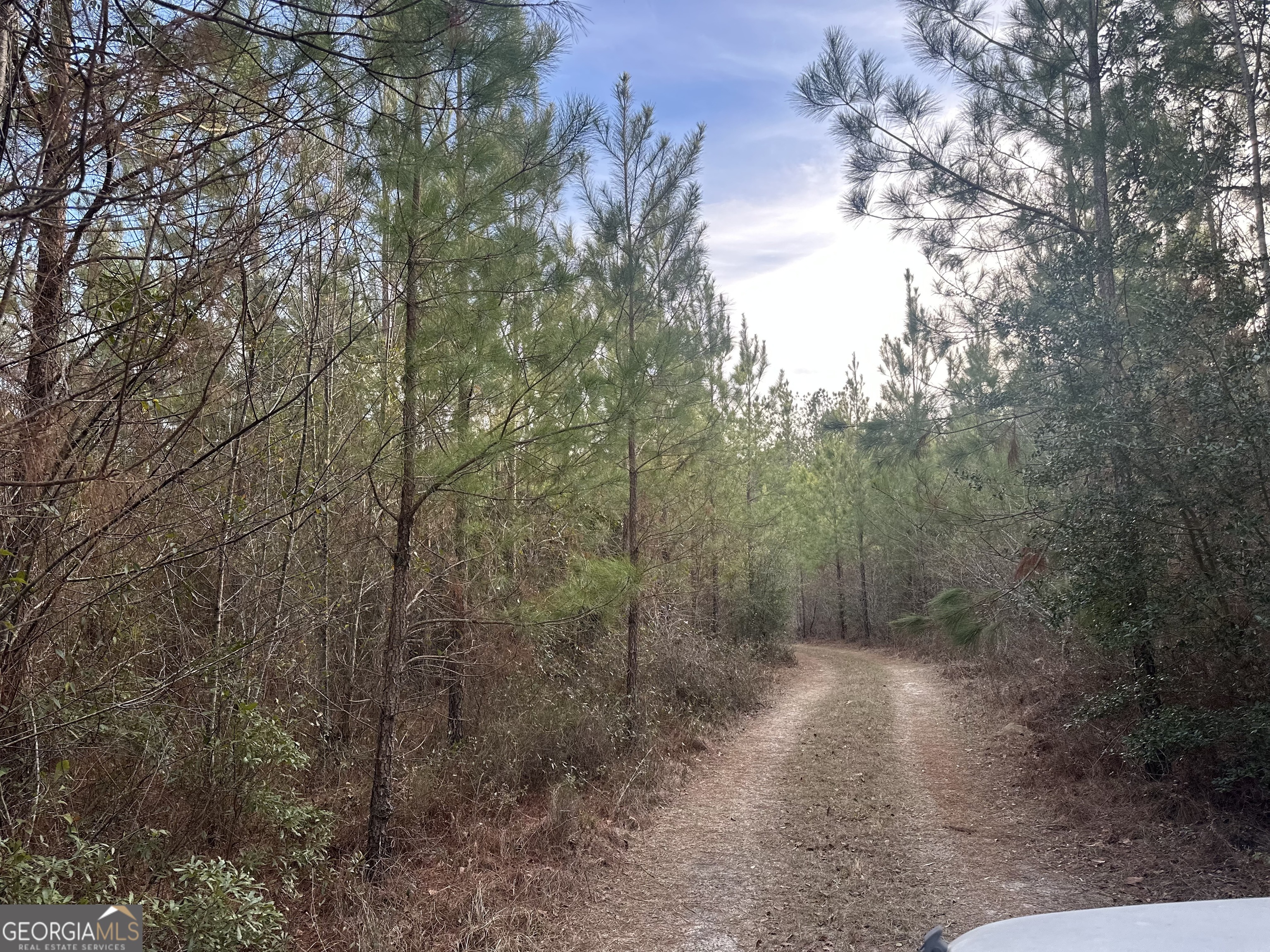 0 Airport Road McRae-Helena, GA 31037 - Photo 30 of 43