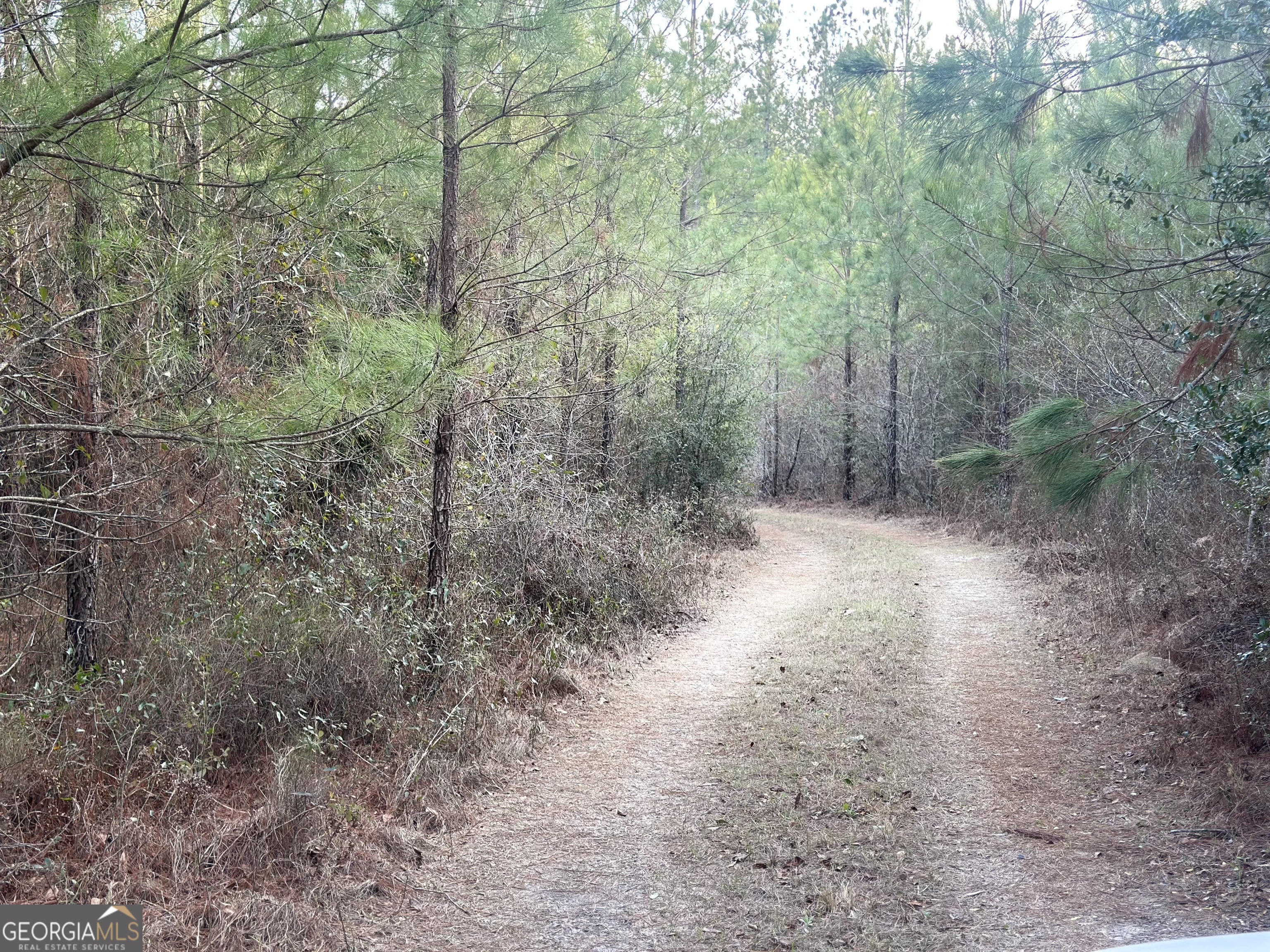 0 Airport Road McRae-Helena, GA 31037 - Photo 31 of 43