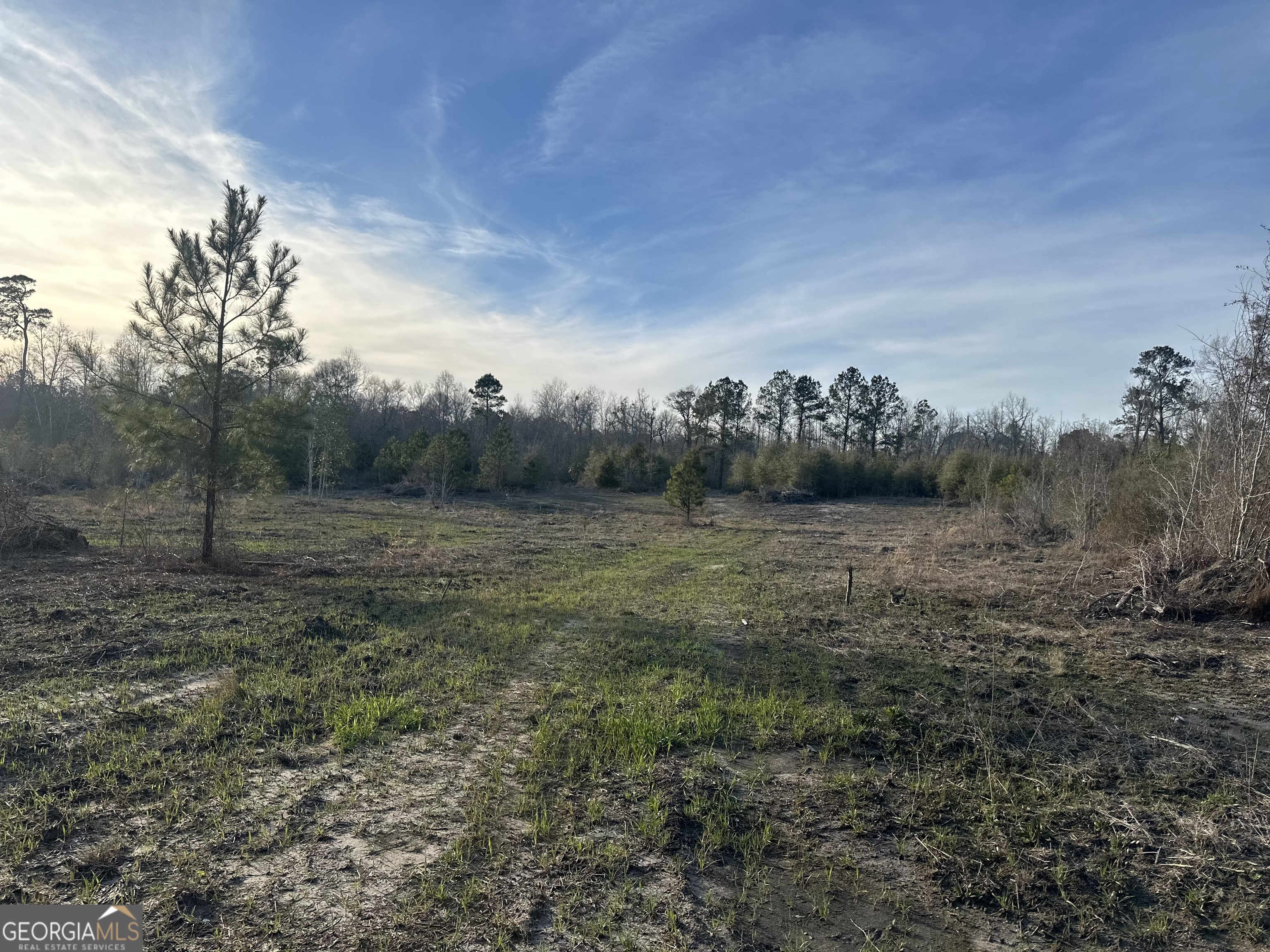 0 Airport Road McRae-Helena, GA 31037 - Photo 35 of 43