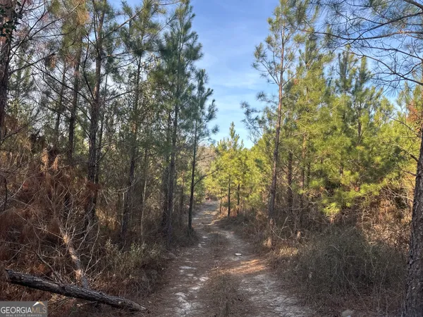 $1,670,400 | 0 Airport Road, McRae-Helena, GA 31037