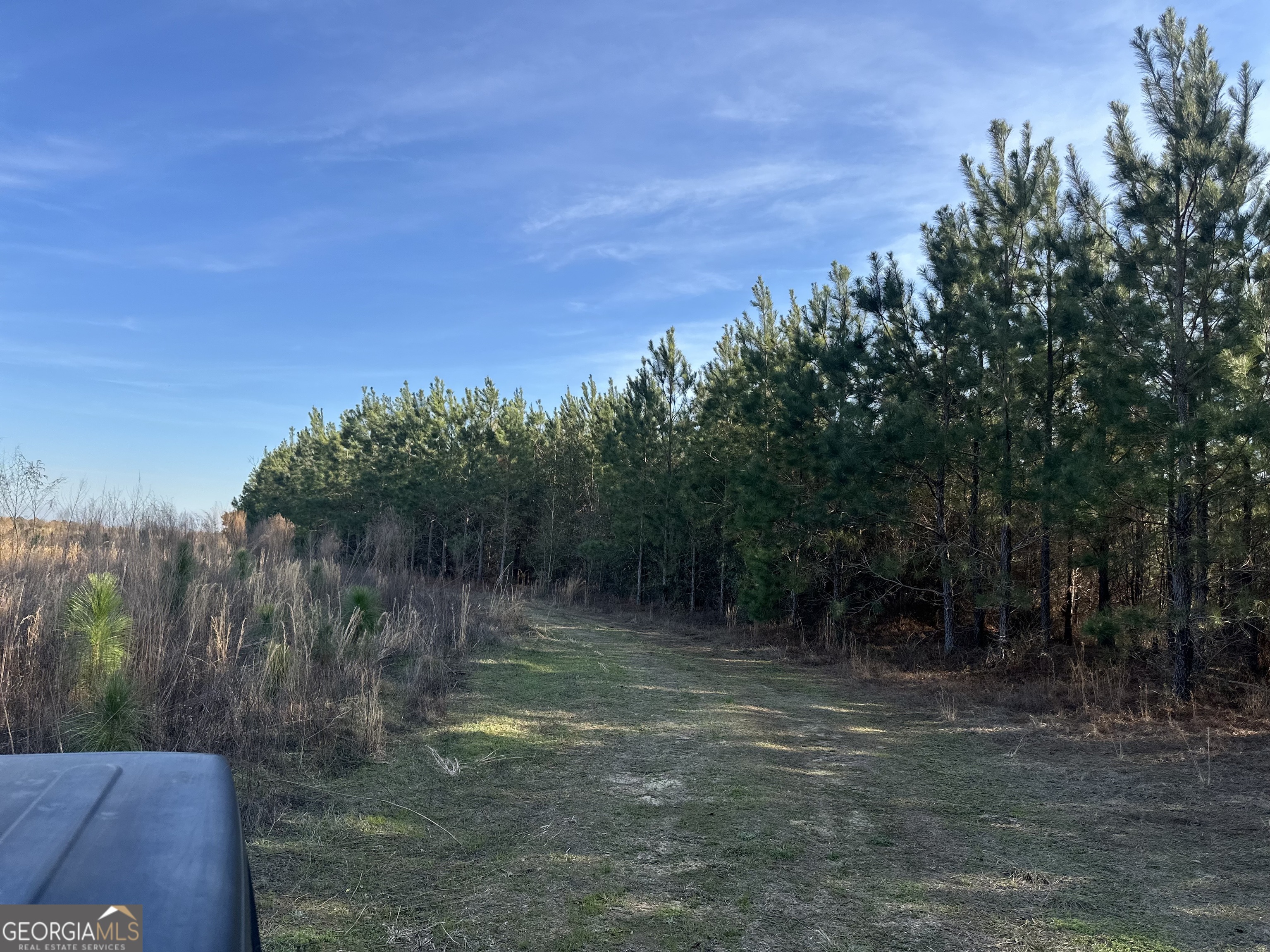 0 Airport Road McRae-Helena, GA 31037 - Photo 37 of 43