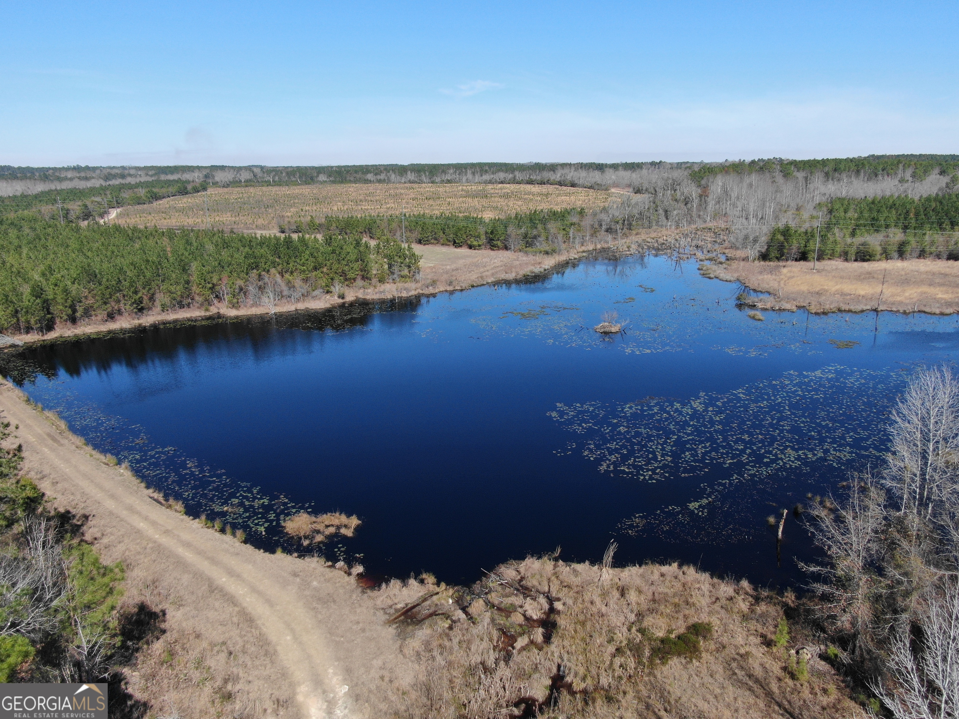 0 Airport Road McRae-Helena, GA 31037 - Photo 6 of 43