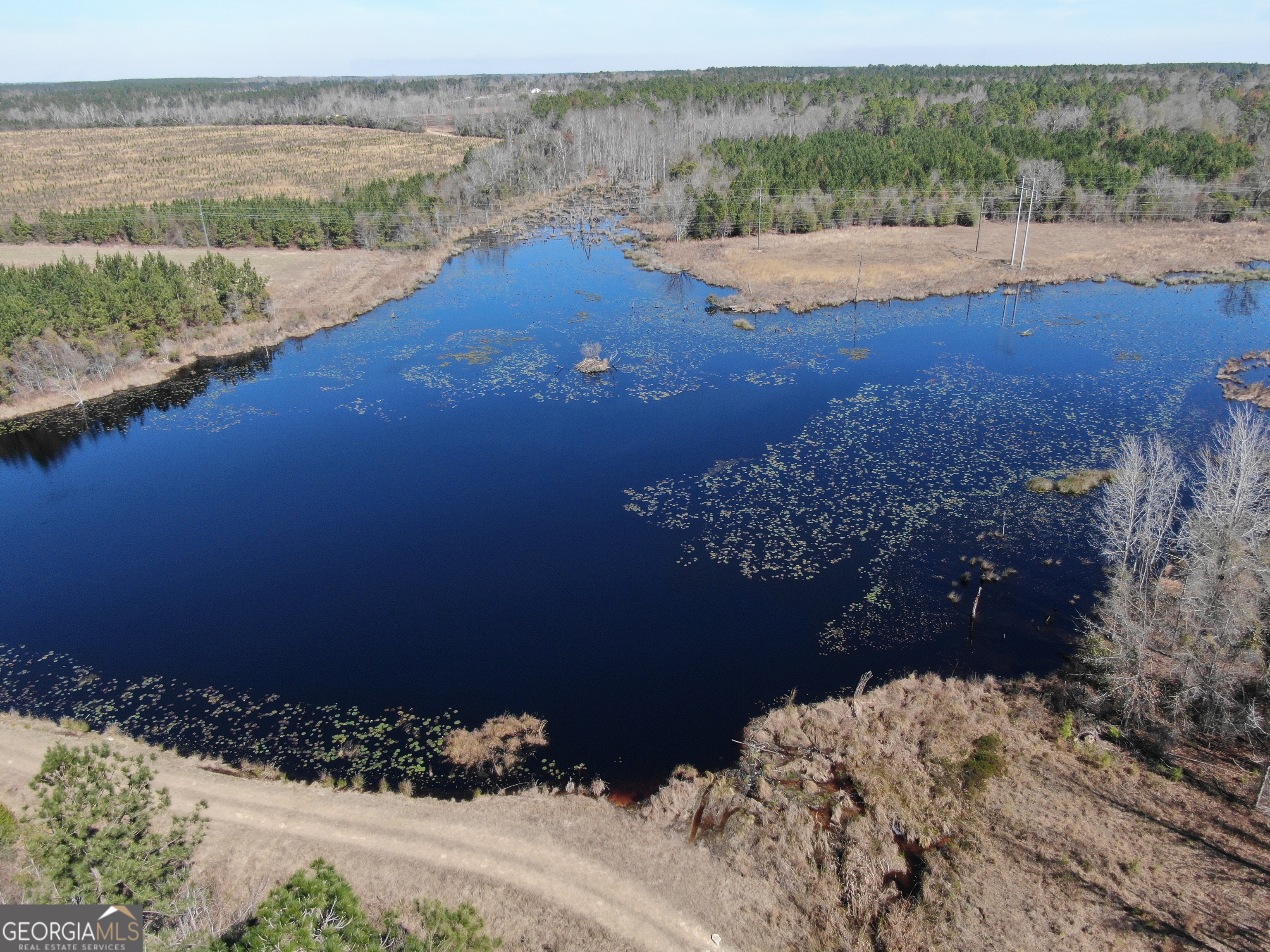 0 Airport Road McRae-Helena, GA 31037 - Photo 8 of 43