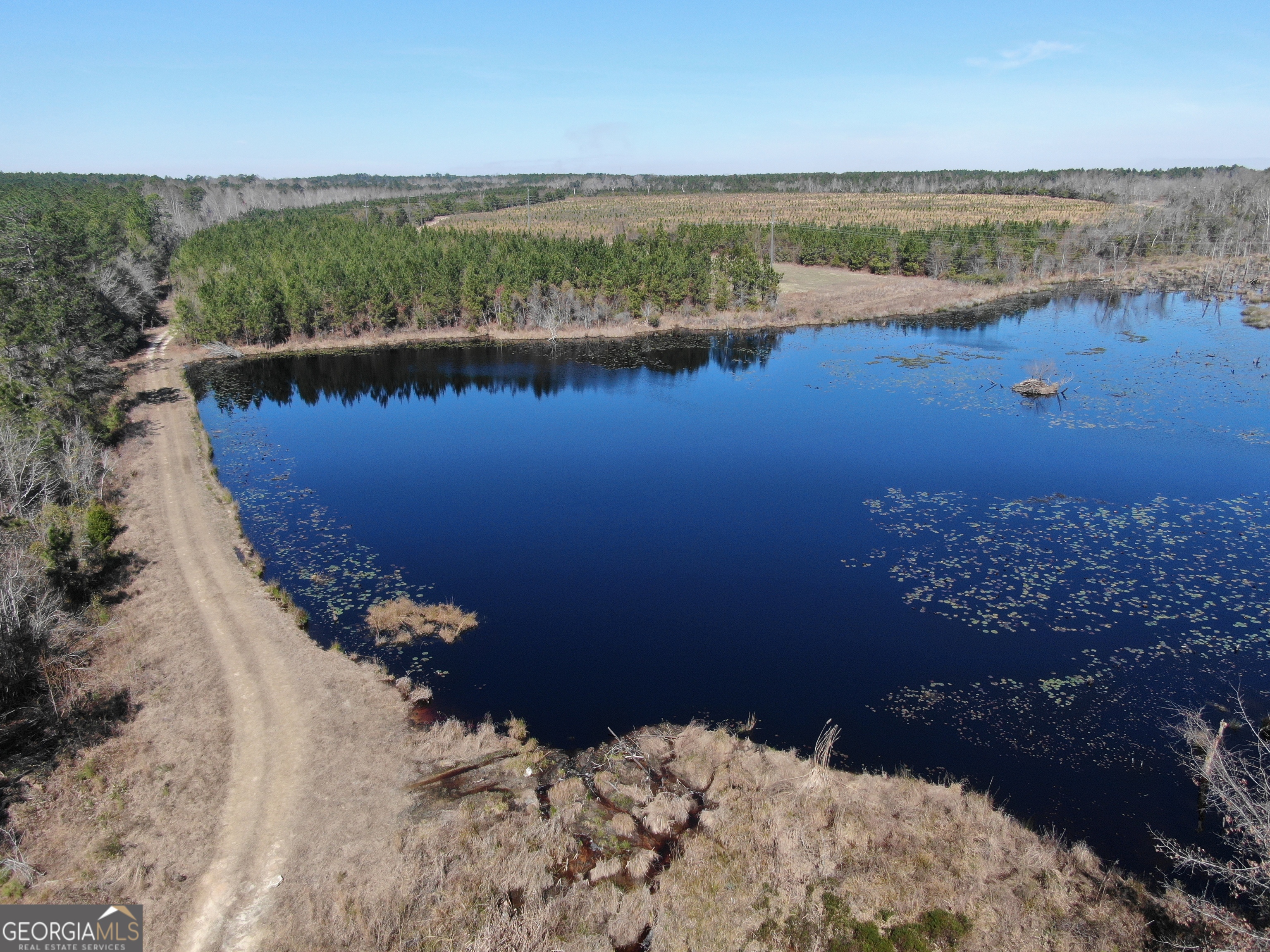 0 Airport Road McRae-Helena, GA 31037 - Photo 9 of 43