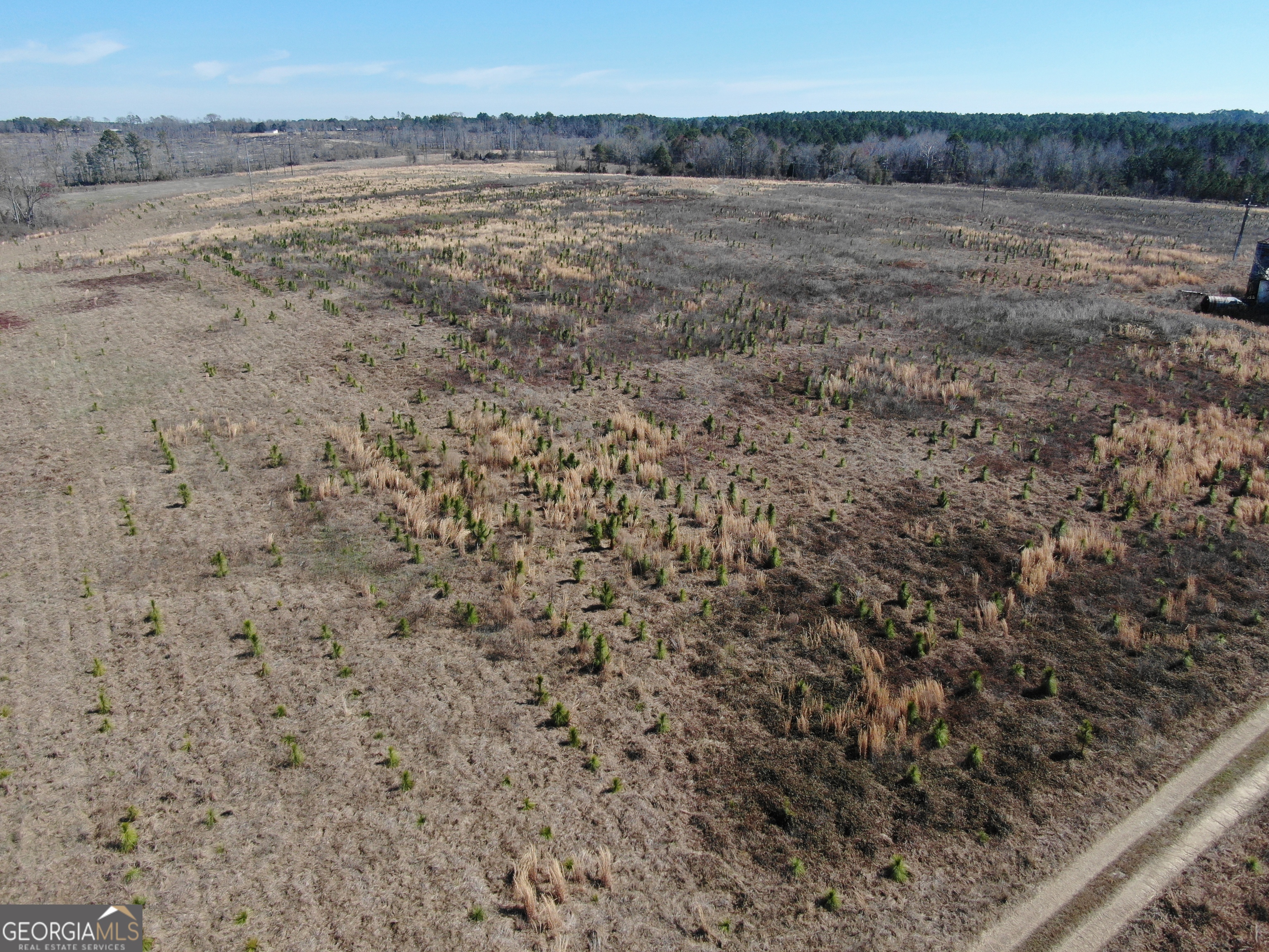 0 Airport Road McRae-Helena, GA 31037 - Photo 10 of 43