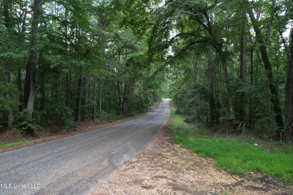 $250,000 | 0 Ford Calcote Road, Monticello, MS 39654