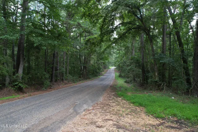 $250,000 | 0 Ford Calcote Road, Monticello, MS 39654
