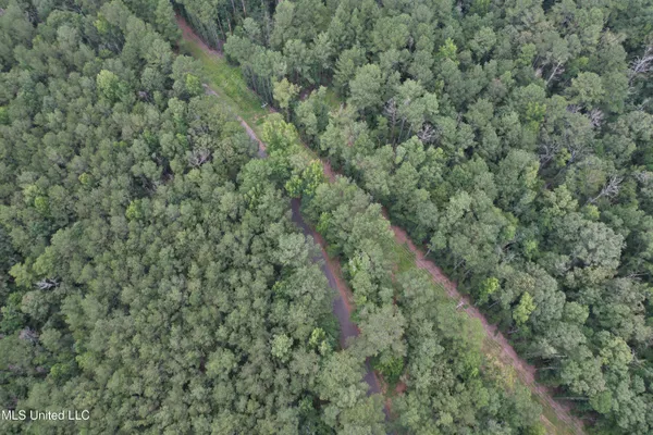 $250,000 | 0 Ford Calcote Road, Monticello, MS 39654