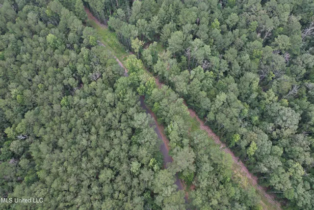 $250,000 | 0 Ford Calcote Road, Monticello, MS 39654