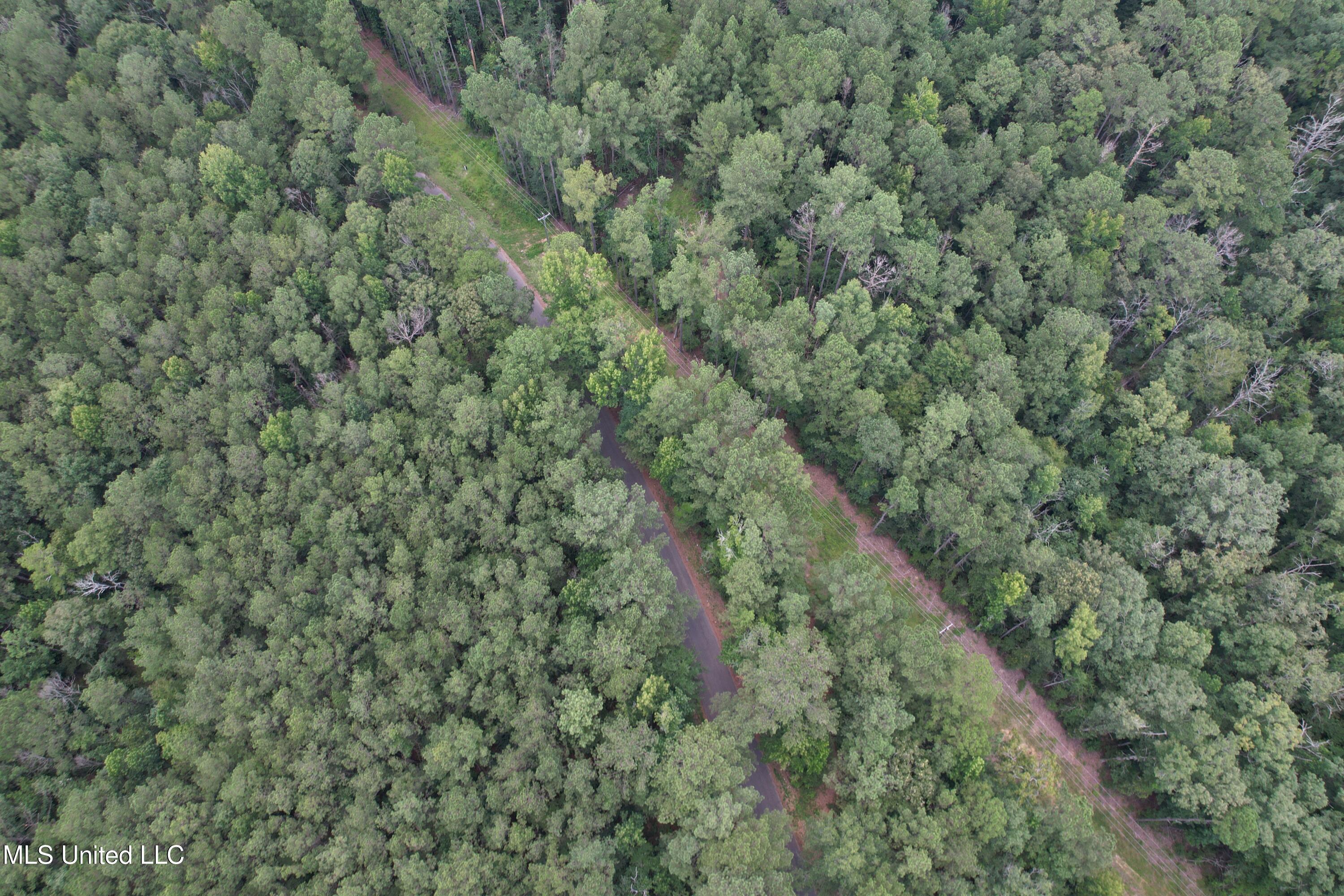 0 Ford Calcote Road Monticello, MS 39654 - Photo 11 of 18 DJI_0131 (1)