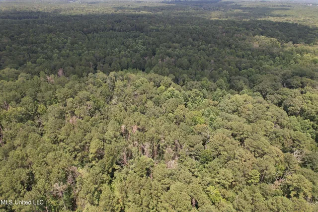 $250,000 | 0 Ford Calcote Road, Monticello, MS 39654