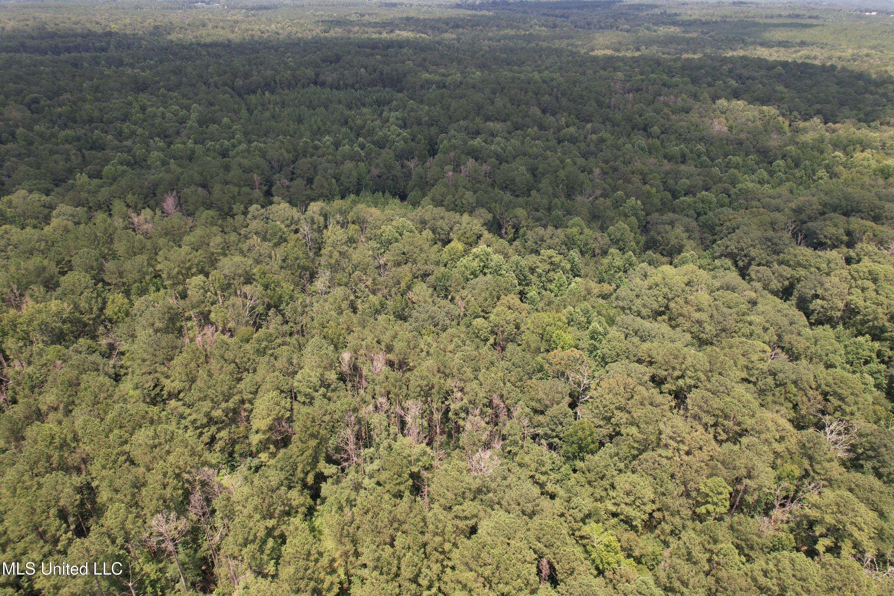 0 Ford Calcote Road Monticello, MS 39654 - Photo 12 of 18 DJI_0120
