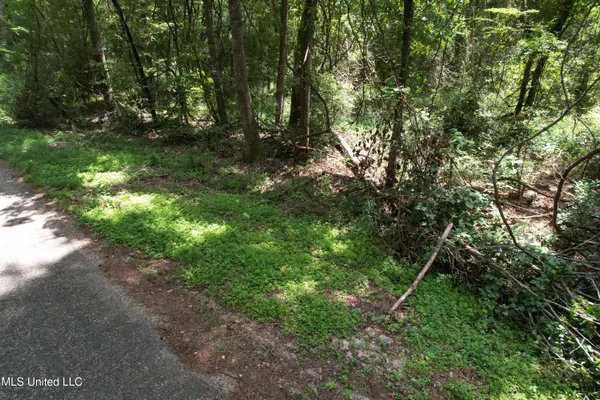 $250,000 | 0 Ford Calcote Road, Monticello, MS 39654