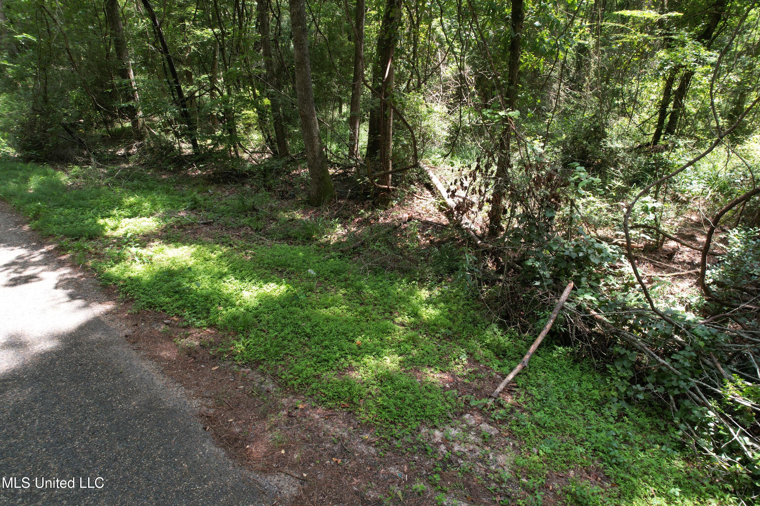 0 Ford Calcote Road Monticello, MS 39654 - Photo 13 of 18 DJI_0136