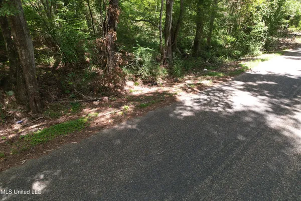 $250,000 | 0 Ford Calcote Road, Monticello, MS 39654