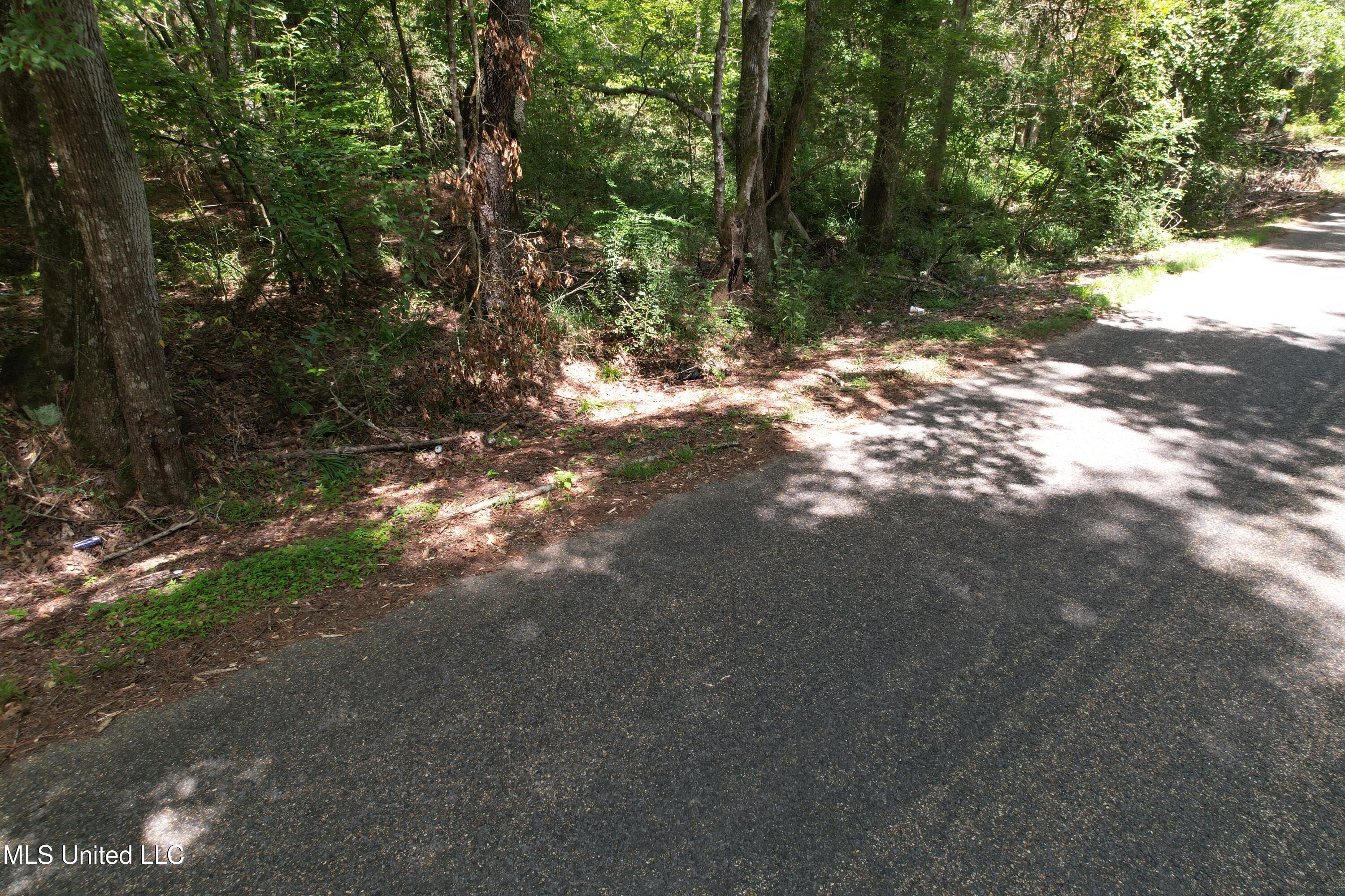 0 Ford Calcote Road Monticello, MS 39654 - Photo 14 of 18 DJI_0137