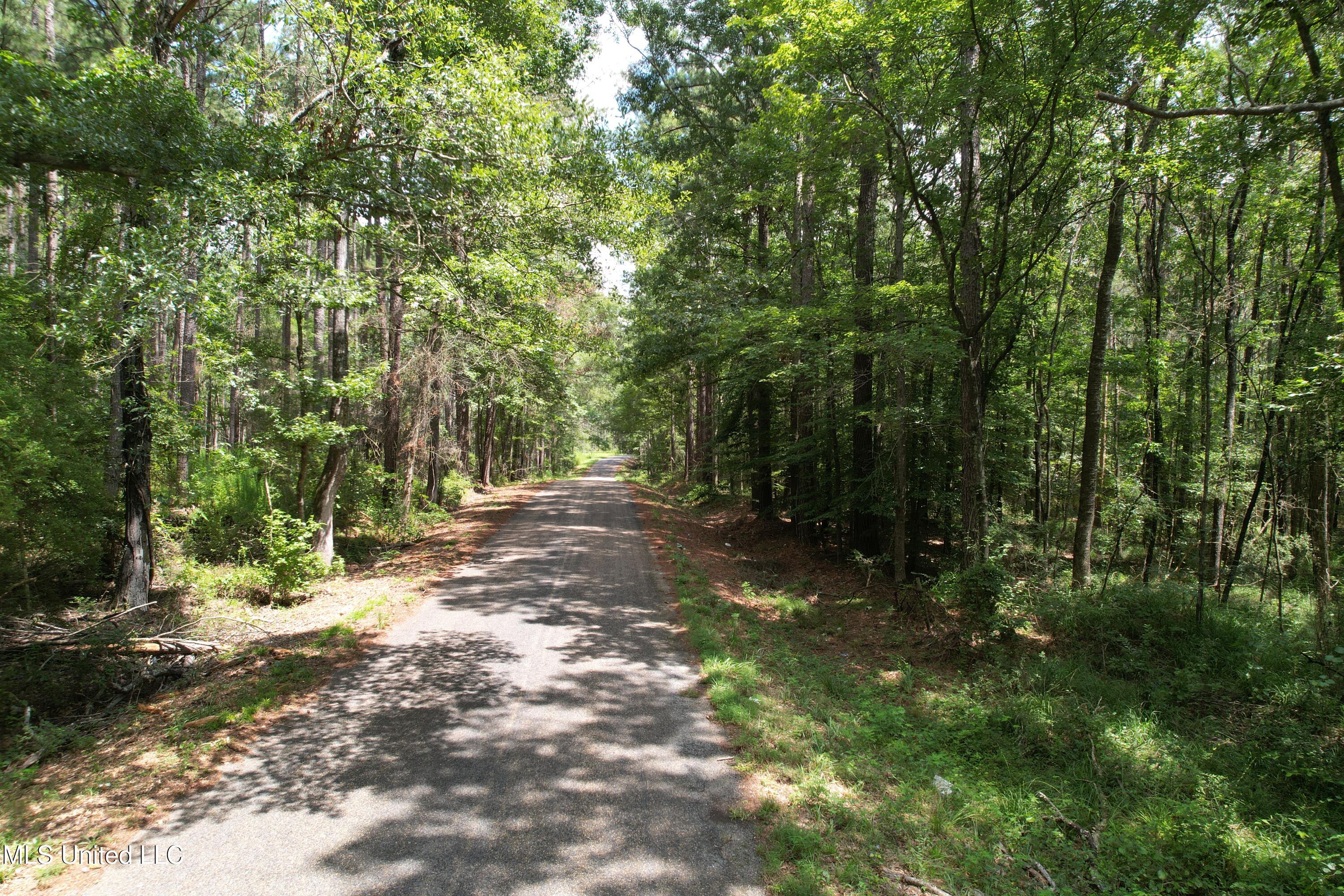 0 Ford Calcote Road Monticello, MS 39654 - Photo 15 of 18 DJI_0138 (1)