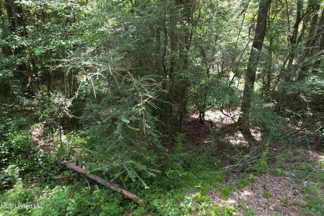 $250,000 | 0 Ford Calcote Road, Monticello, MS 39654