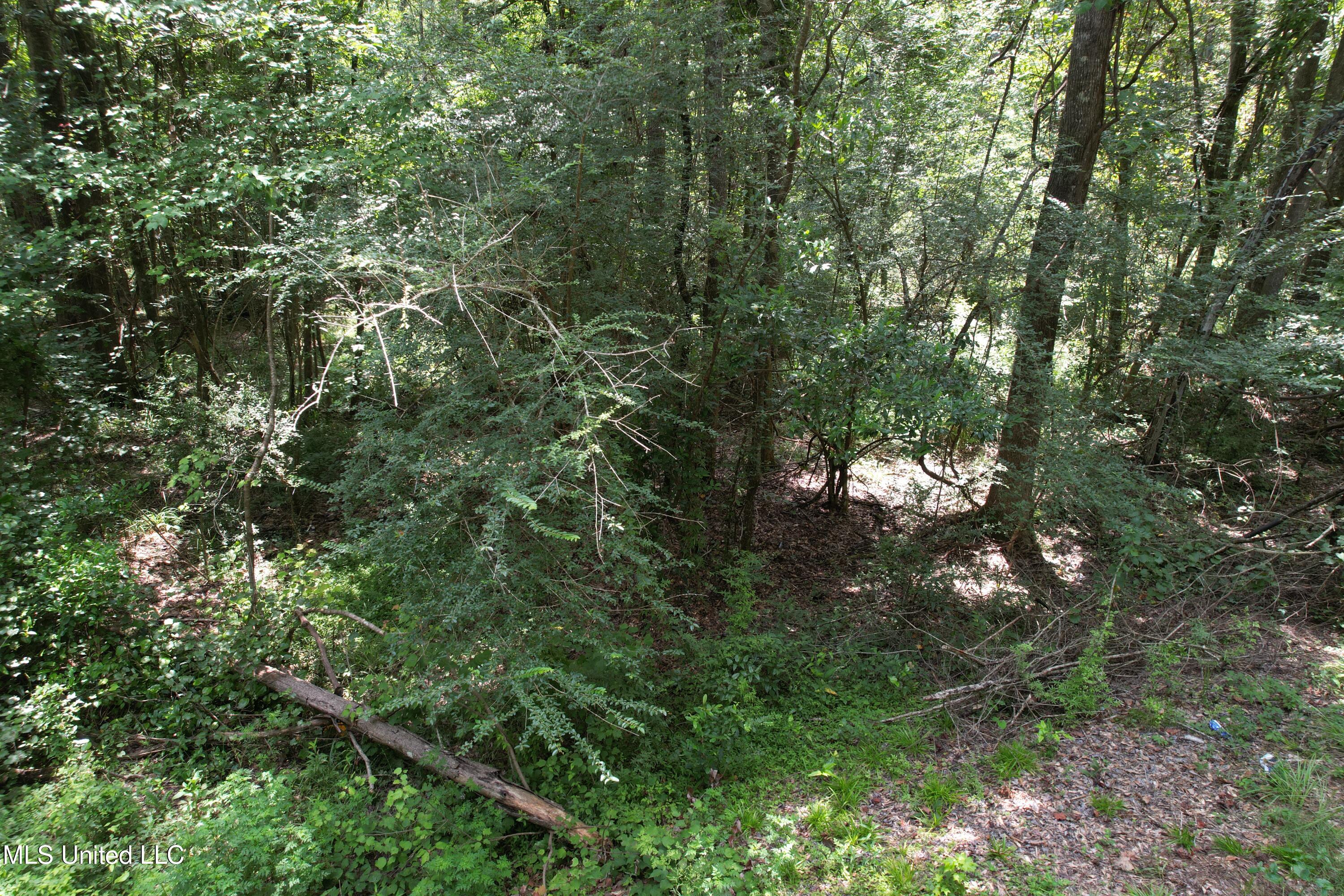 0 Ford Calcote Road Monticello, MS 39654 - Photo 16 of 18 DJI_0139