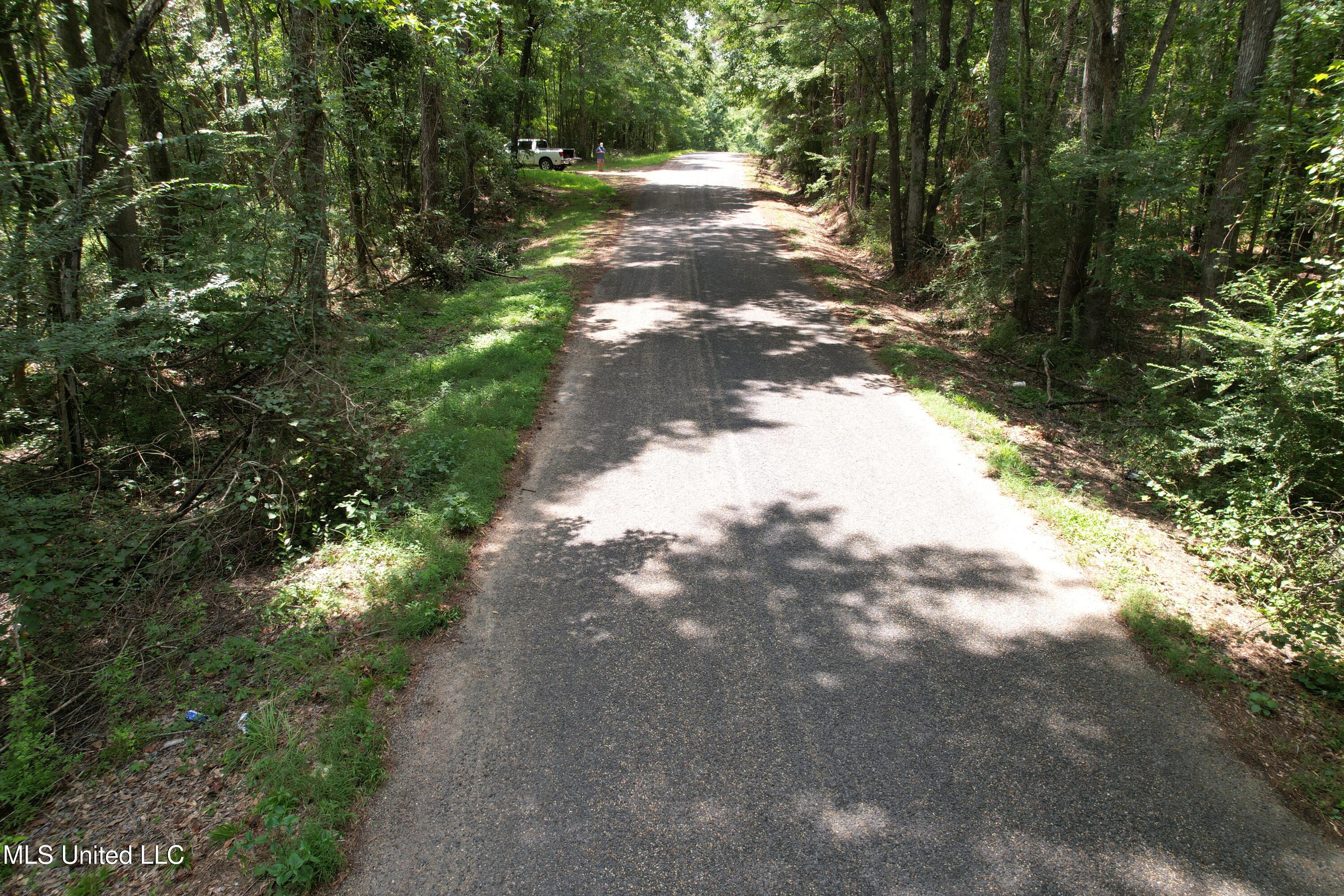 0 Ford Calcote Road Monticello, MS 39654 - Photo 17 of 18 DJI_0140 (1)