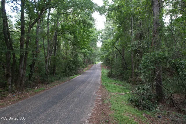 $250,000 | 0 Ford Calcote Road, Monticello, MS 39654