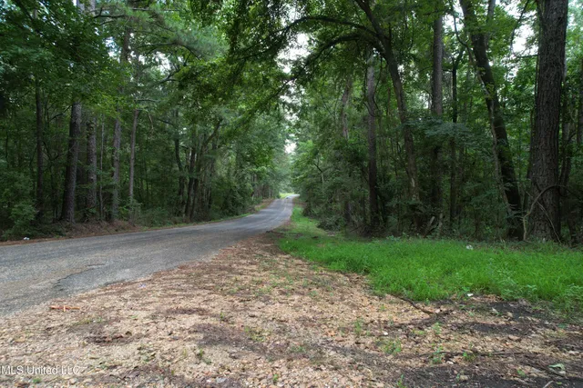 $250,000 | 0 Ford Calcote Road, Monticello, MS 39654