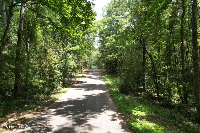 $250,000 | 0 Ford Calcote Road, Monticello, MS 39654