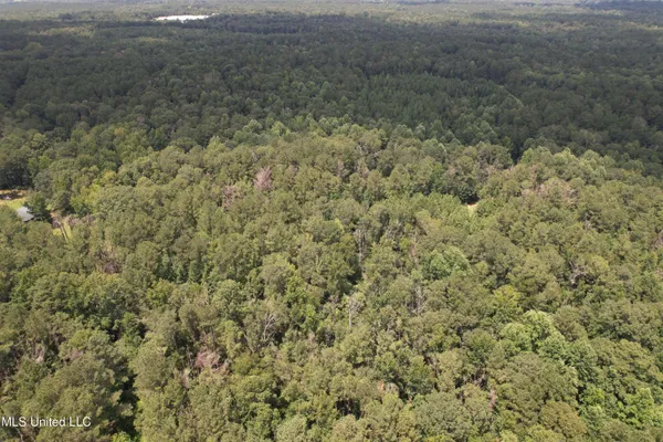 $250,000 | 0 Ford Calcote Road, Monticello, MS 39654