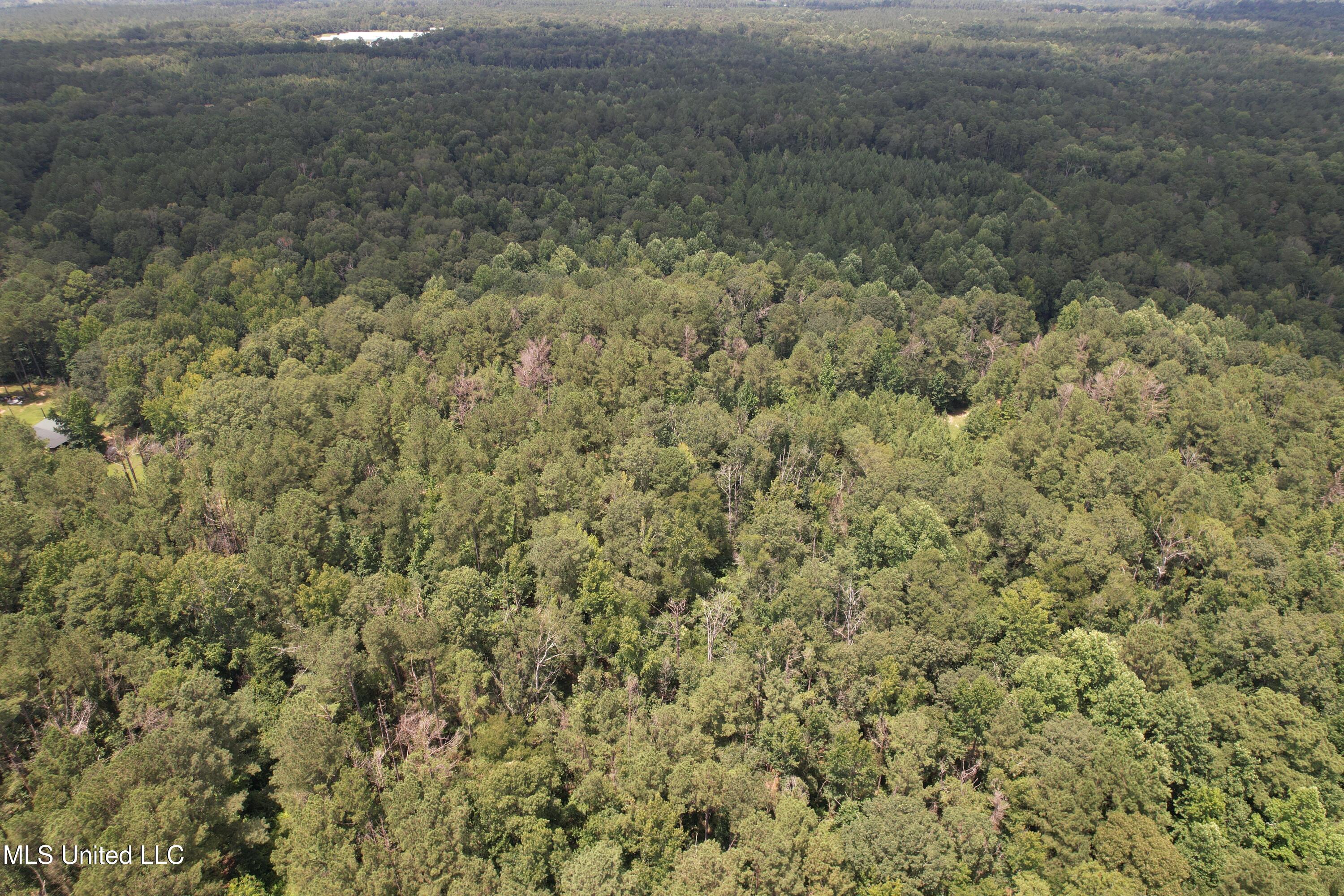 DJI_0121