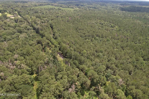 $250,000 | 0 Ford Calcote Road, Monticello, MS 39654
