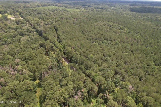 $250,000 | 0 Ford Calcote Road, Monticello, MS 39654