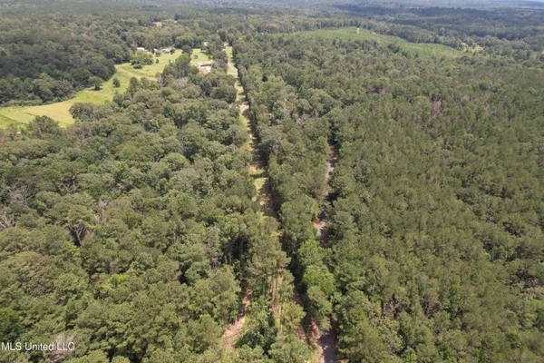 $250,000 | 0 Ford Calcote Road, Monticello, MS 39654