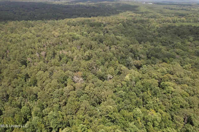$250,000 | 0 Ford Calcote Road, Monticello, MS 39654
