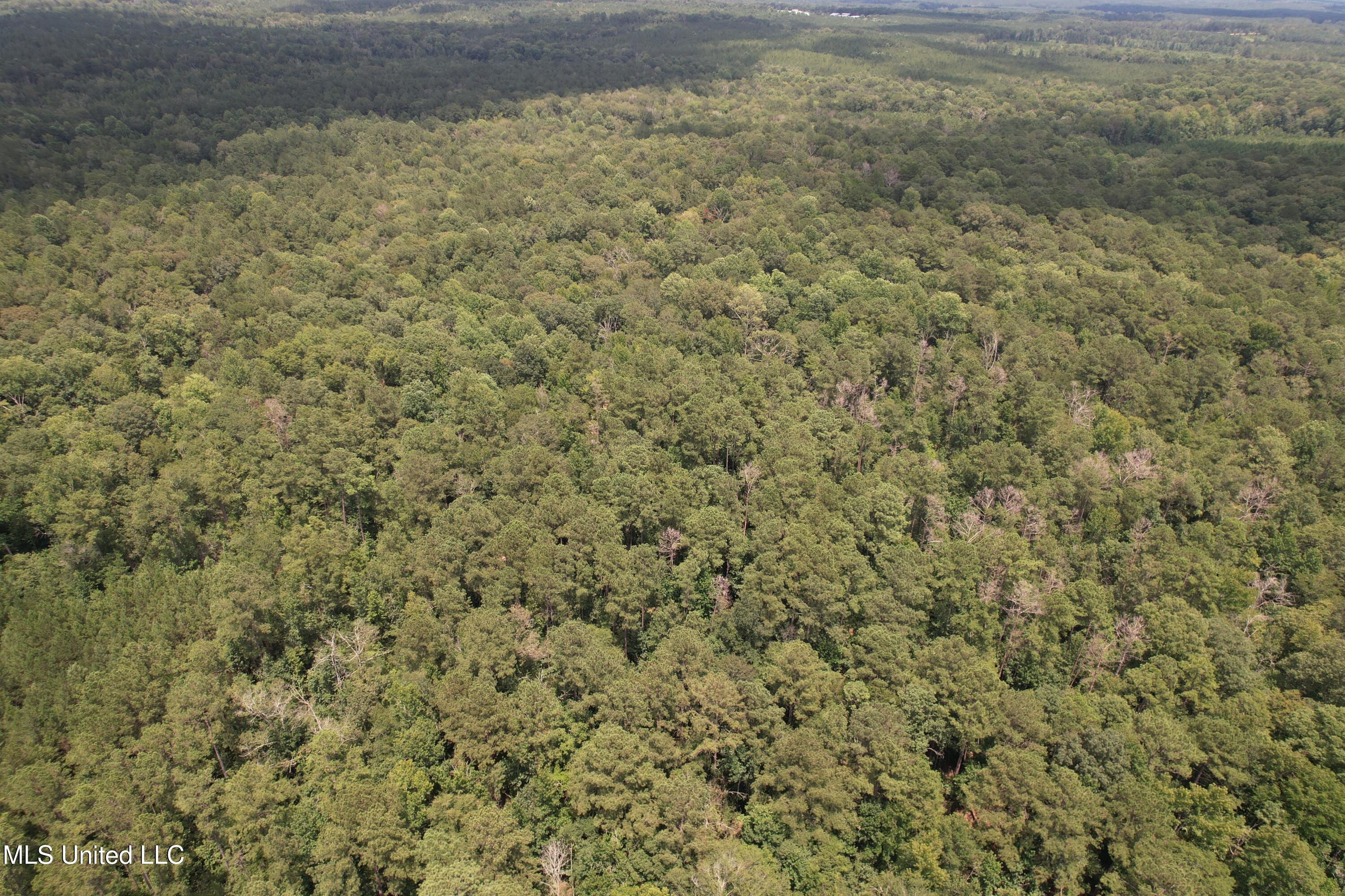 0 Ford Calcote Road Monticello, MS 39654 - Photo 9 of 18 DJI_0125
