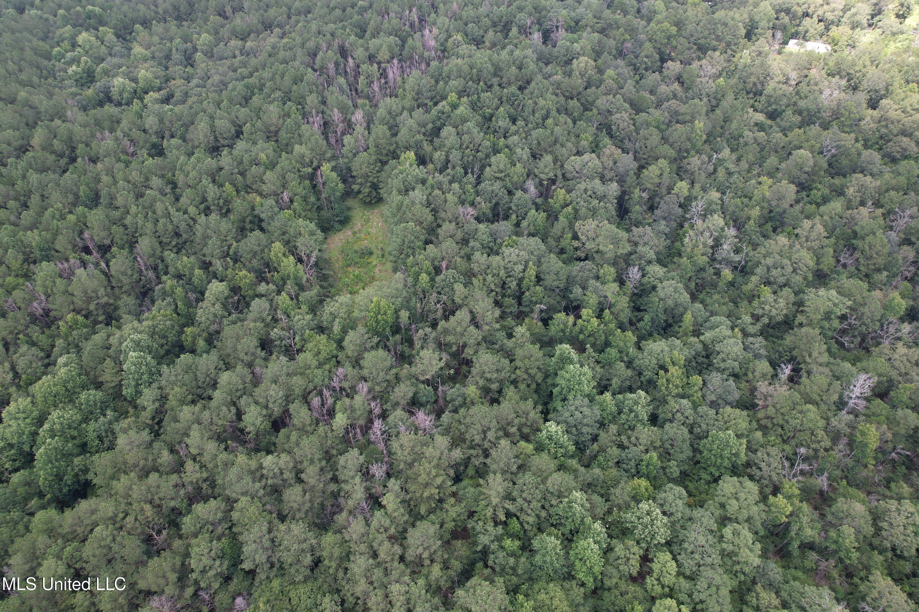 0 Ford Calcote Road Monticello, MS 39654 - Photo 10 of 18 DJI_0126